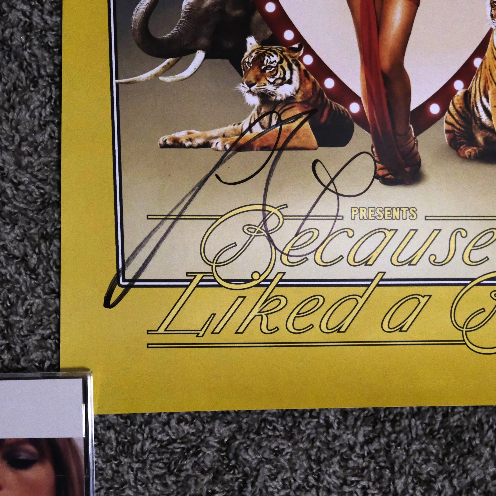 Sabrina Carpenter Signed Because Liked A Boy Tour Poster VIP Autograph Numbered, изображение 4