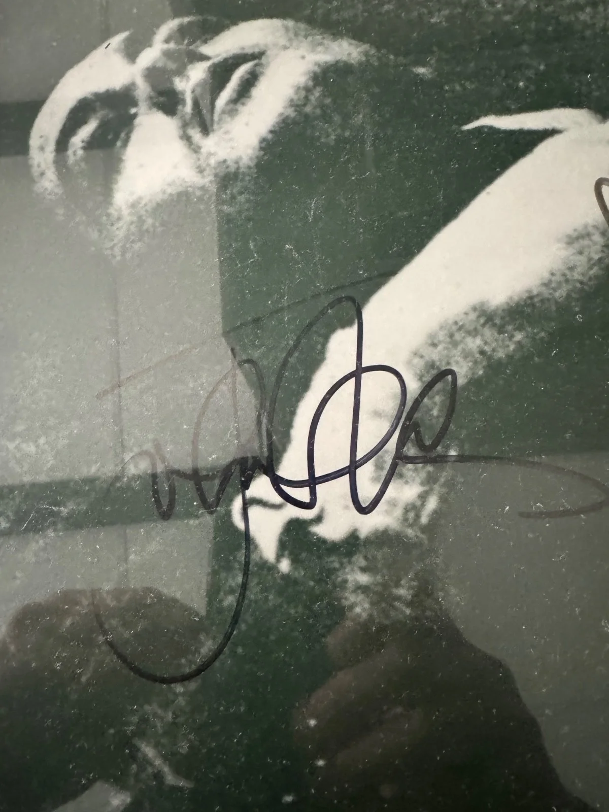 The smiths framed signed album cover, image 3