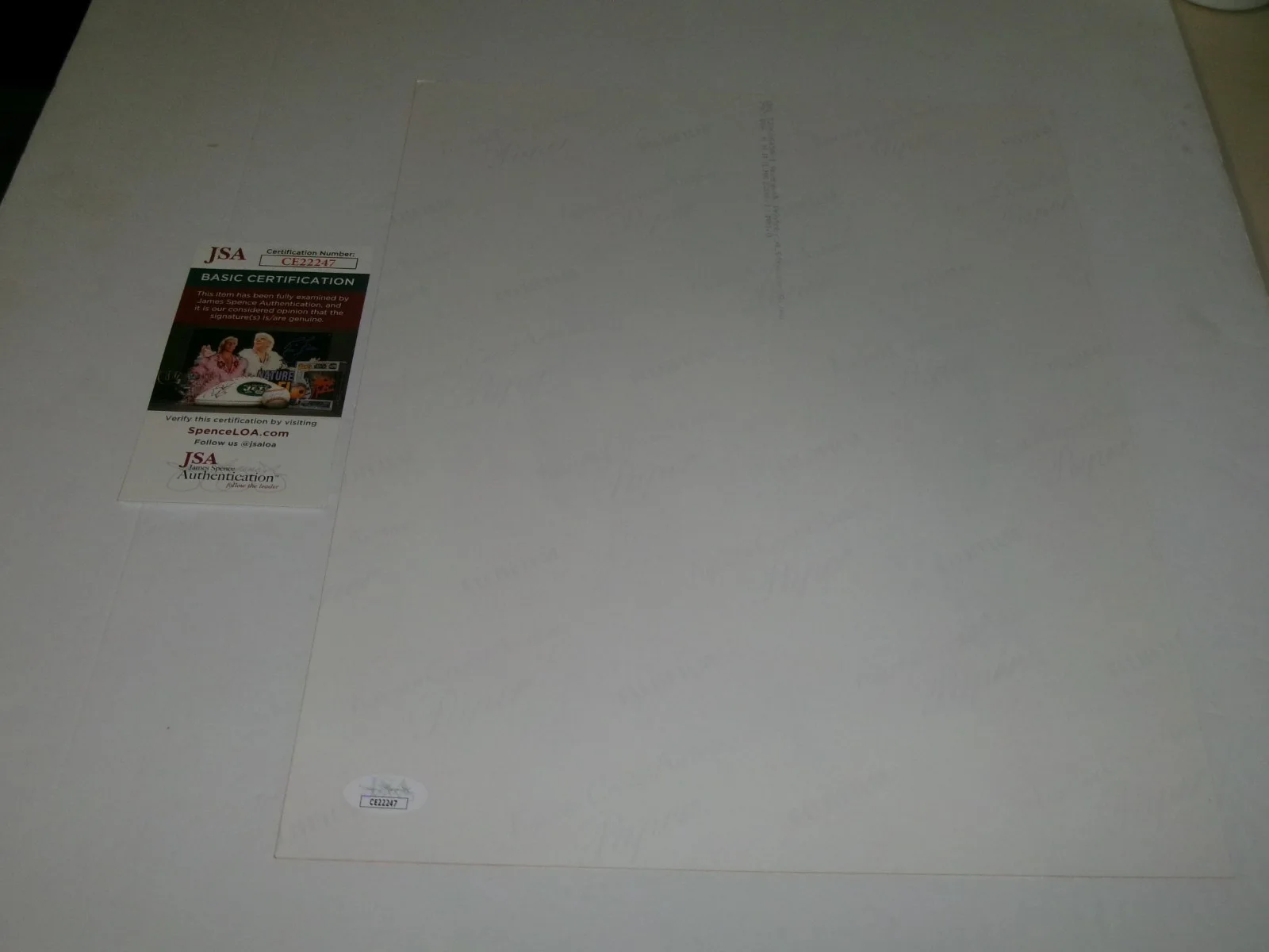 UK SINGER ANDREW WK COLOR 11X14 PHOTO SIGNED JSA CERT, image 3