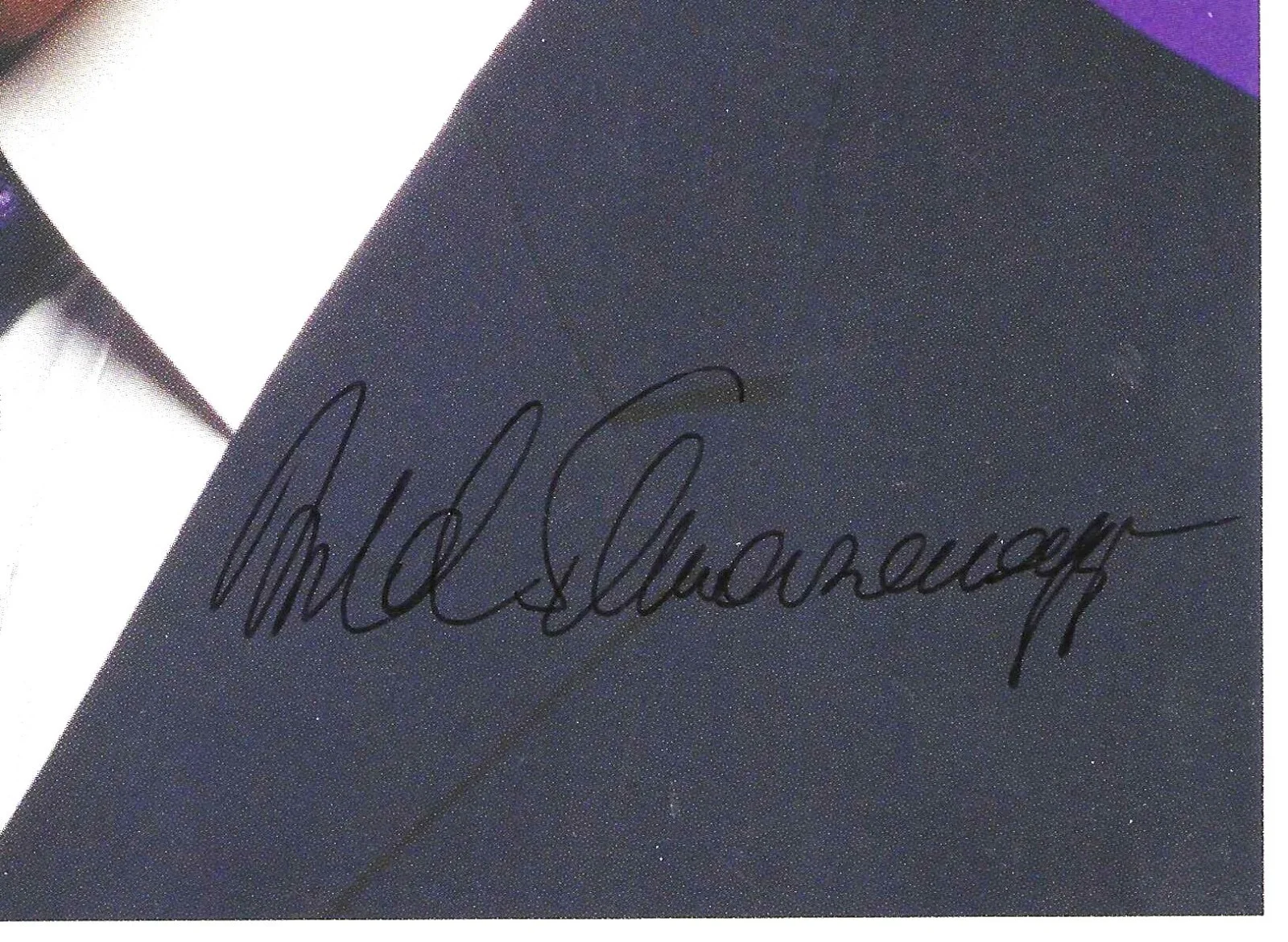 2 photos... Elizabeth Taylor & Arnold Schwarzenegger signed facsimiles 8x10, изображение 4