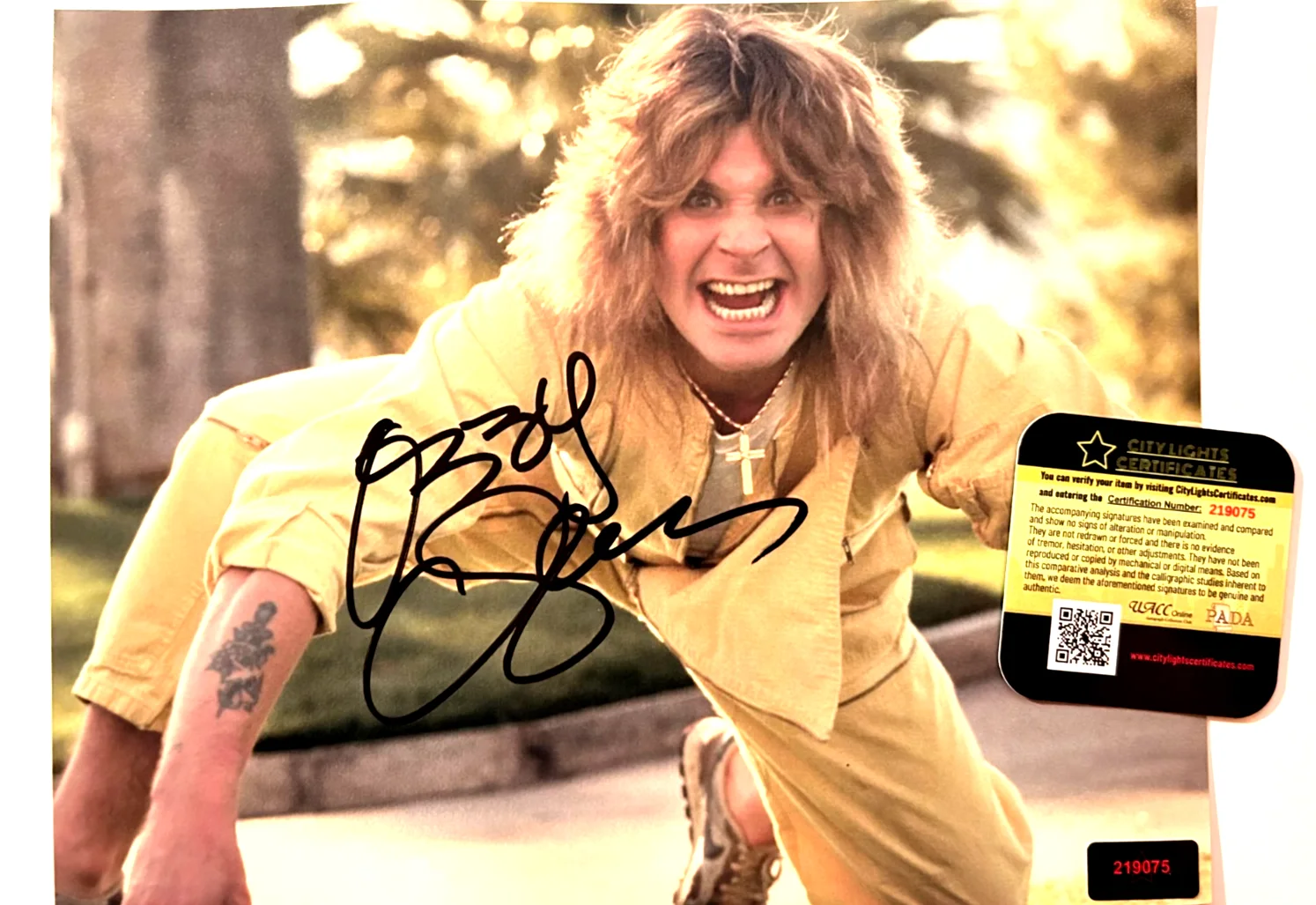 OZZY OSBOURNE (BLACK SABBATH) Signed 8x10" Original Autograph Authentic w/COA, image 3