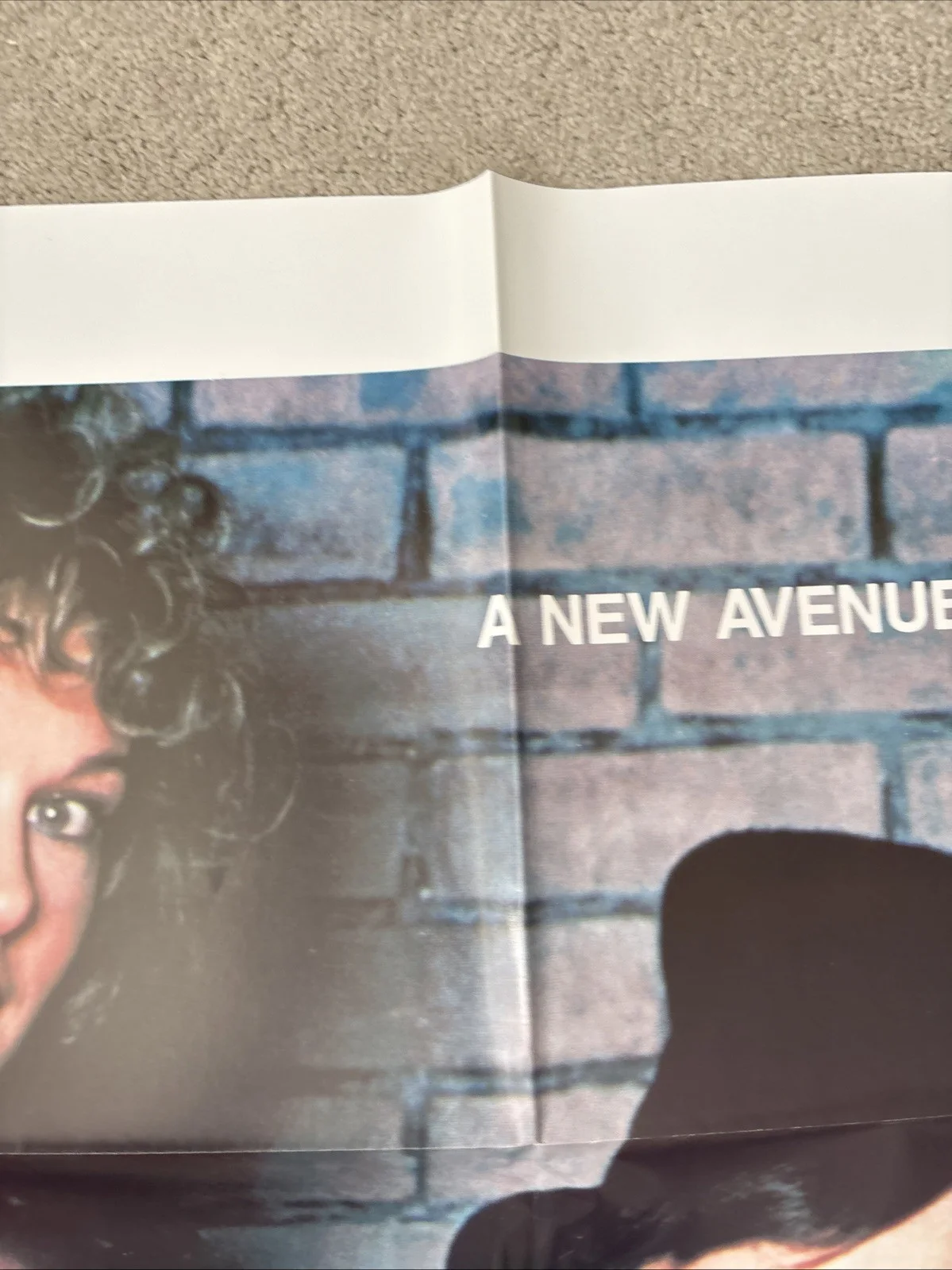 Vaseline Alley (1985) Original US One Sheet Movie Poster, image 3