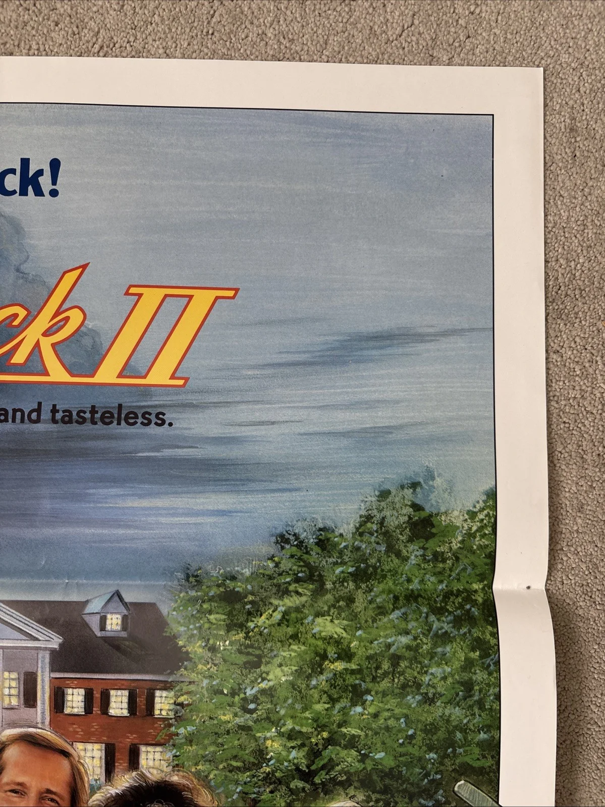 Caddyshack II (1988) Original US One Sheet Movie Poster, image 4