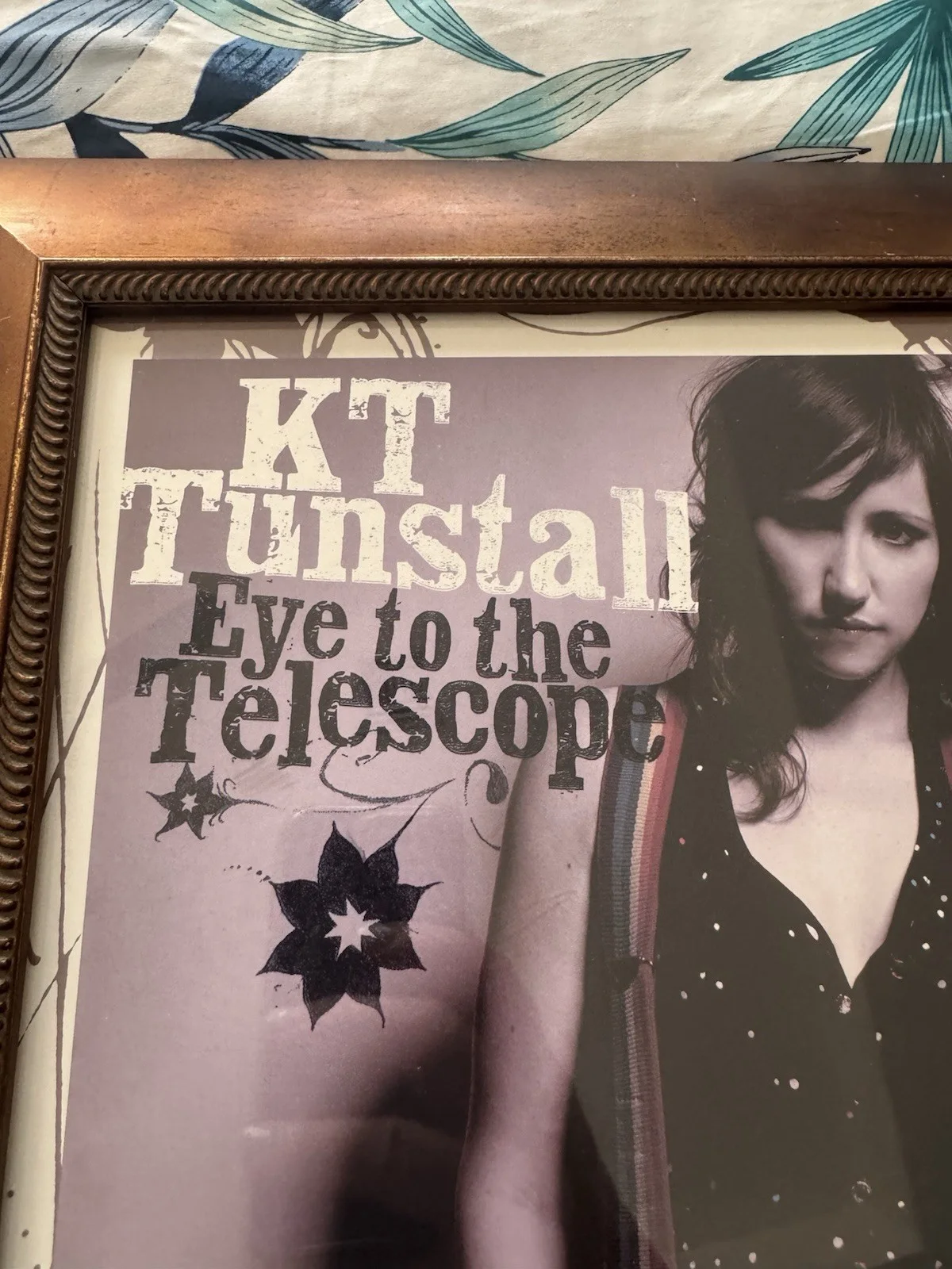 KT Tunstall Signed RARE Promo Tour Music Poster Eye To The Telescope Framed, изображение 3