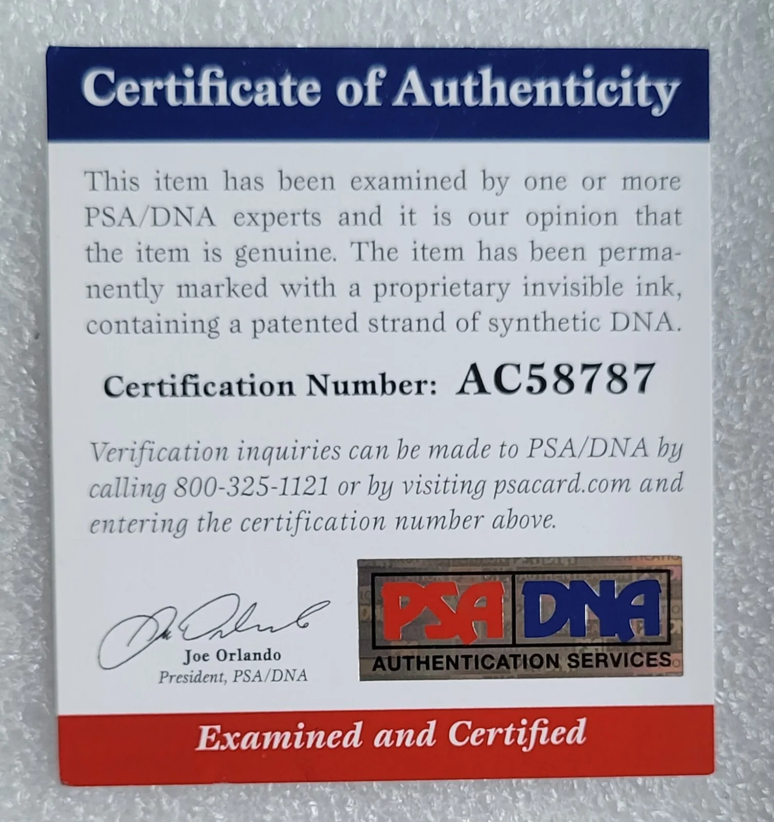 CHUCK BERRY SIGNED PSA/DNA COA ROCK ROLL MUSIC SINGER AUTOGRAPHED CD DISPLAY PSA, image 2