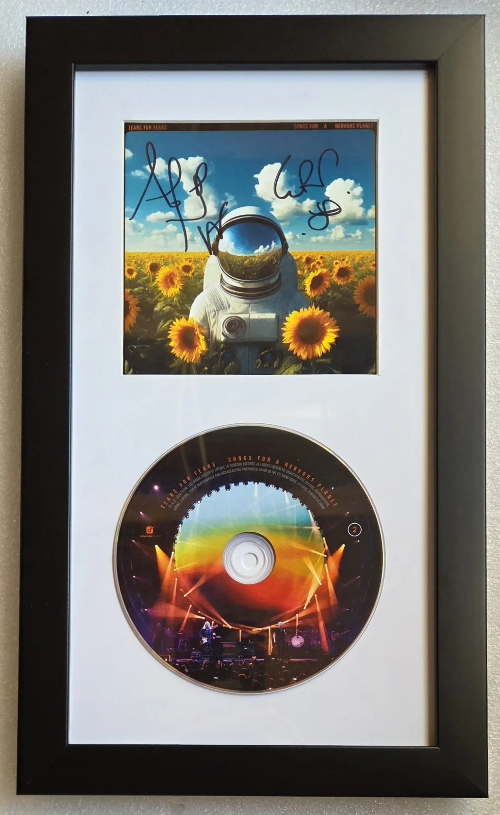 TEARS FOR FEARS CD DISPLAY AUTOGRAPHED BECKETT BAS COA SIGNED GIFT ROLAND CURT, изображение 2