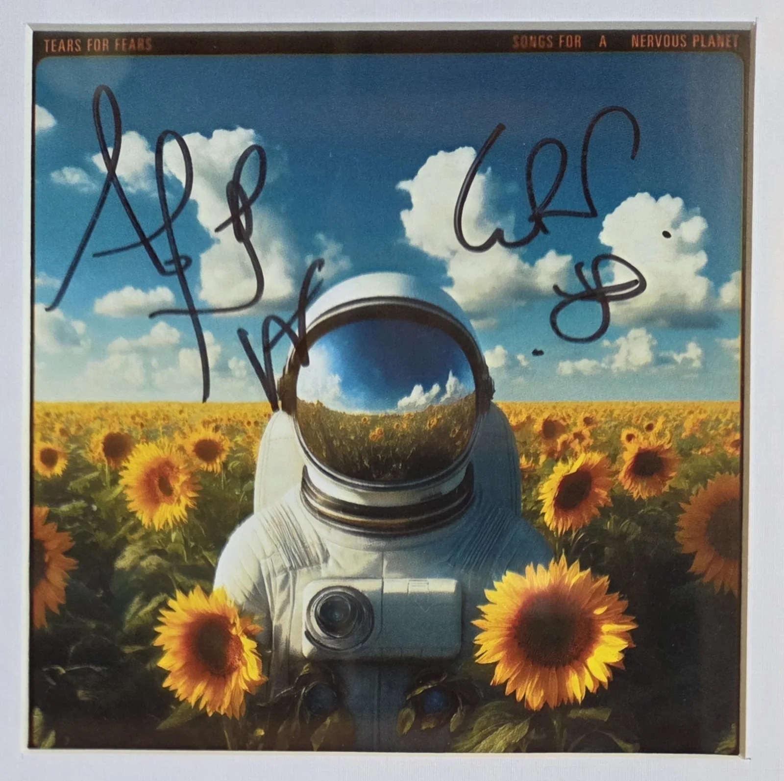 TEARS FOR FEARS CD DISPLAY AUTOGRAPHED BECKETT BAS COA SIGNED GIFT ROLAND CURT, изображение 3