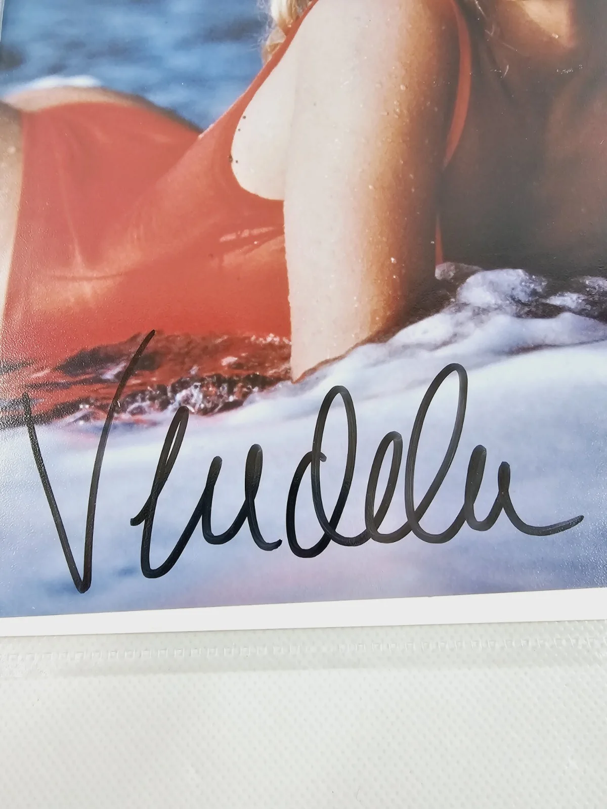 Vendela Kirsebom — Vendela Kirsebom Signed Autographed 8x10 Photo w/ COA Pin-Up Glossy Risque Pic, изображение 3