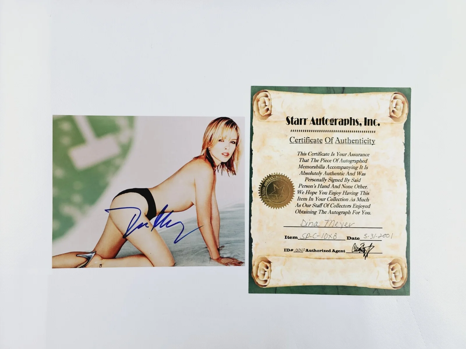 Dina Meyer — Dina Meyer Signed Autographed 8 x 10 Glossy Photo Risqué Picture w/ COA Vtg