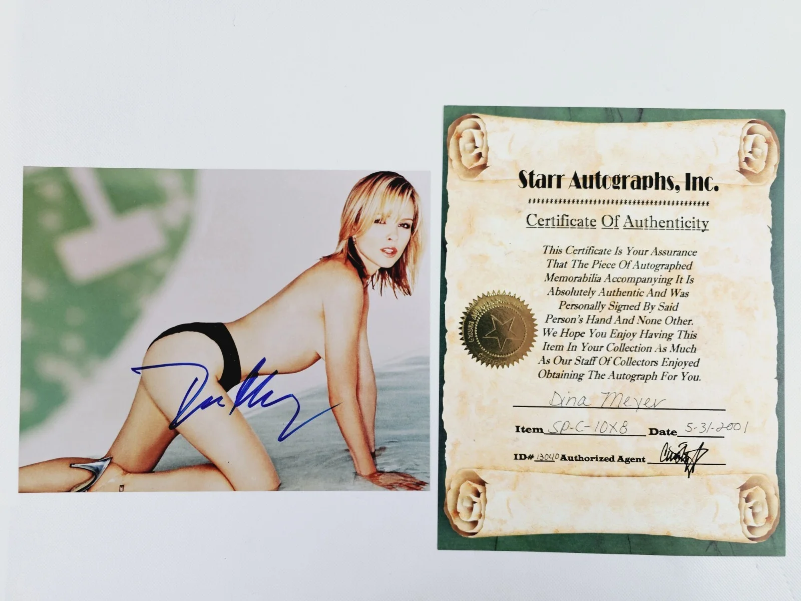 Dina Meyer — Dina Meyer Signed Autographed 8 x 10 Glossy Photo Risqué Picture w/ COA Vtg, изображение 2