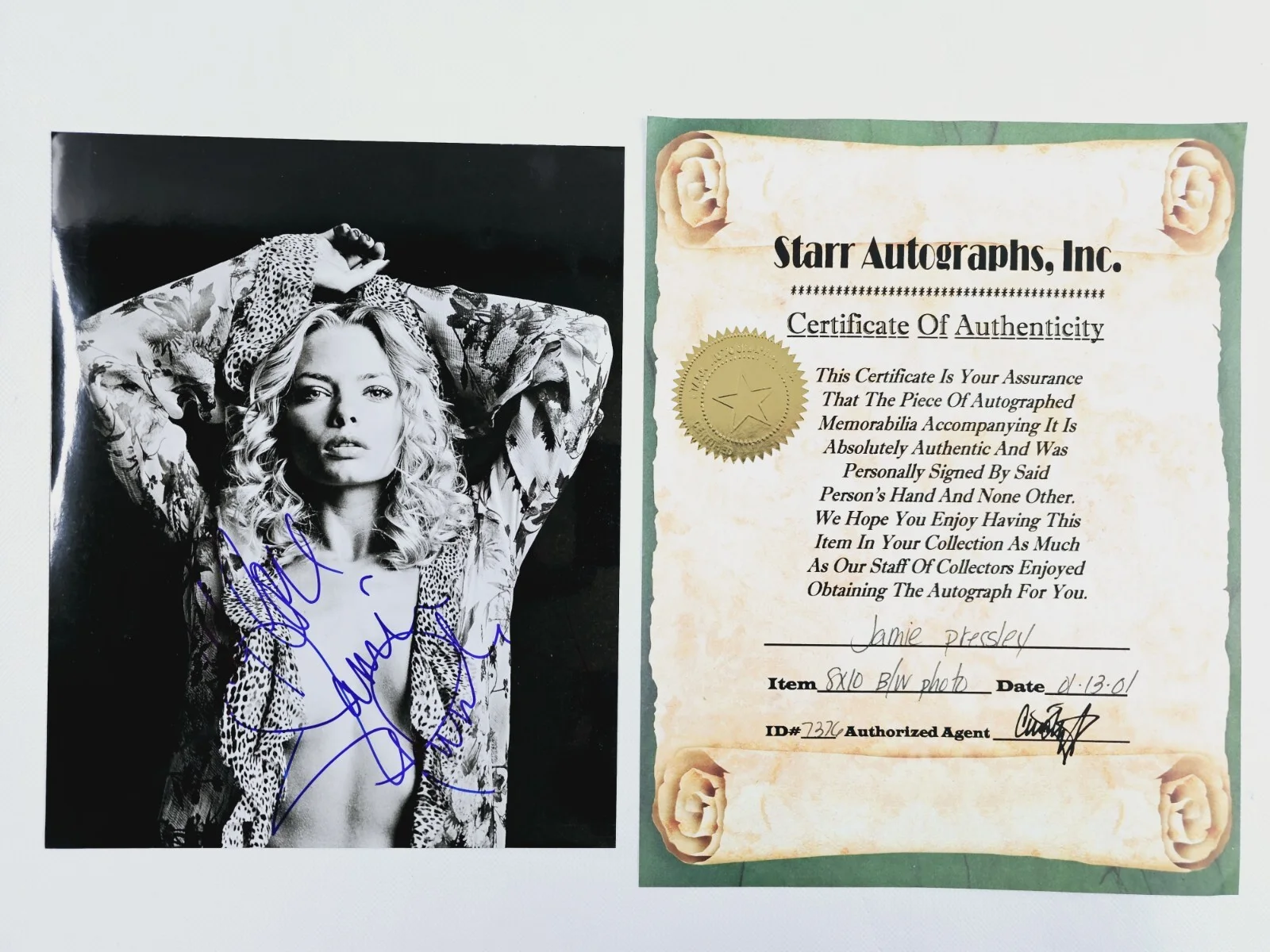 Jamie Pressley — Jamie Pressley Signed Autographed 8x10 Photo w/COA Pin-Up Glossy Risqué Picture, изображение 2