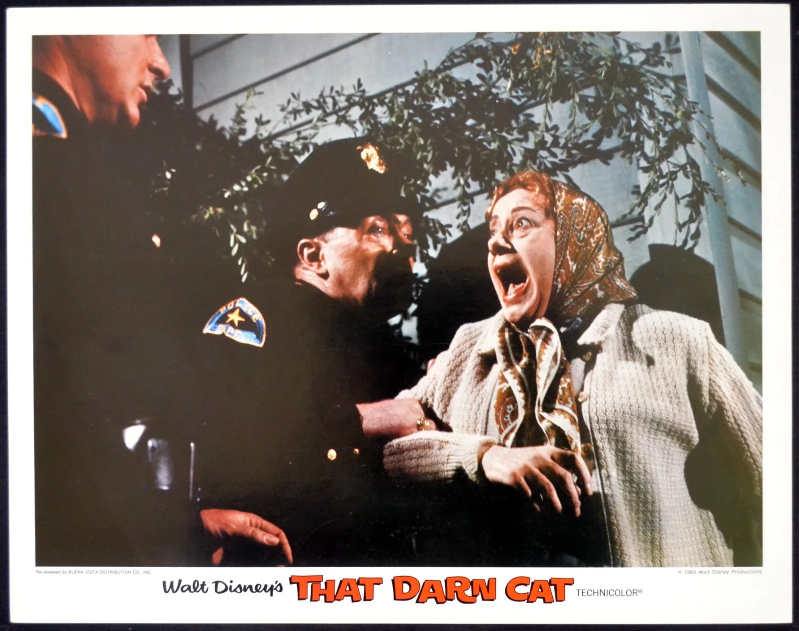 THAT DARN CAT 1965 Hayley Mills, Dean Jones, Dorothy Provine 6 LOBBY CARDS, image 3