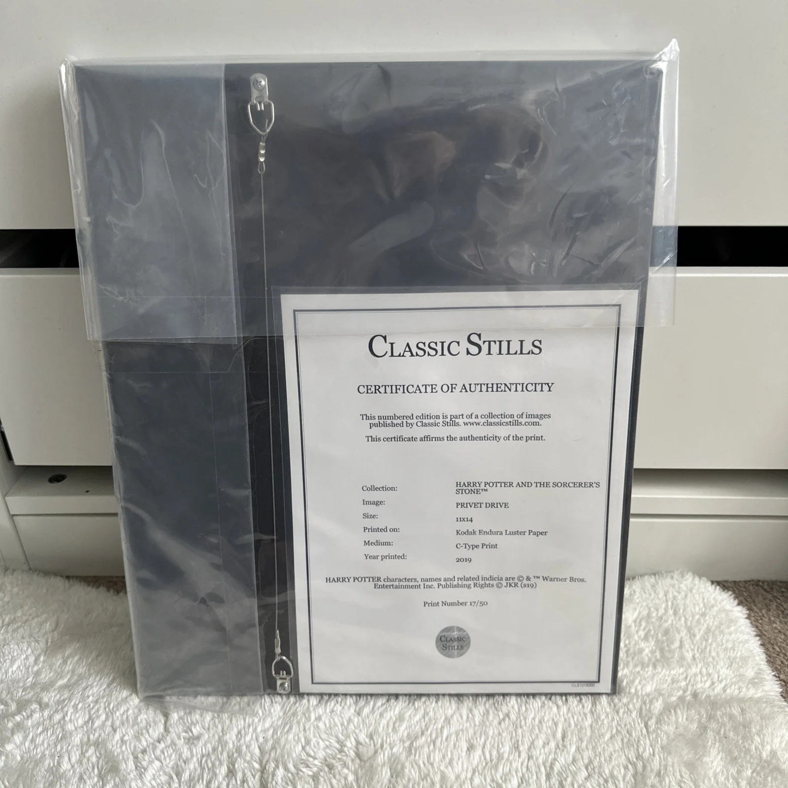 Privet Drive Framed Classic Stills 11x14 2019 Print Number 17/50, image 2