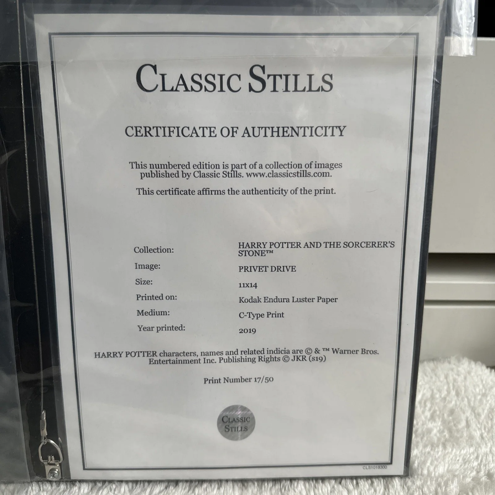 Privet Drive Framed Classic Stills 11x14 2019 Print Number 17/50, image 3