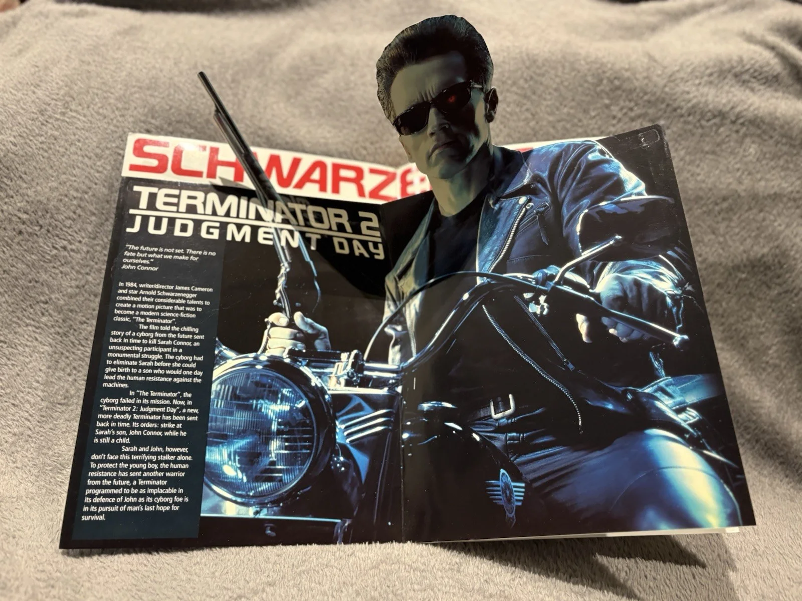 Terminator 2 - Multimedia Screening Ticket & Brochure - Arnold Schwarzenegger -, image 5