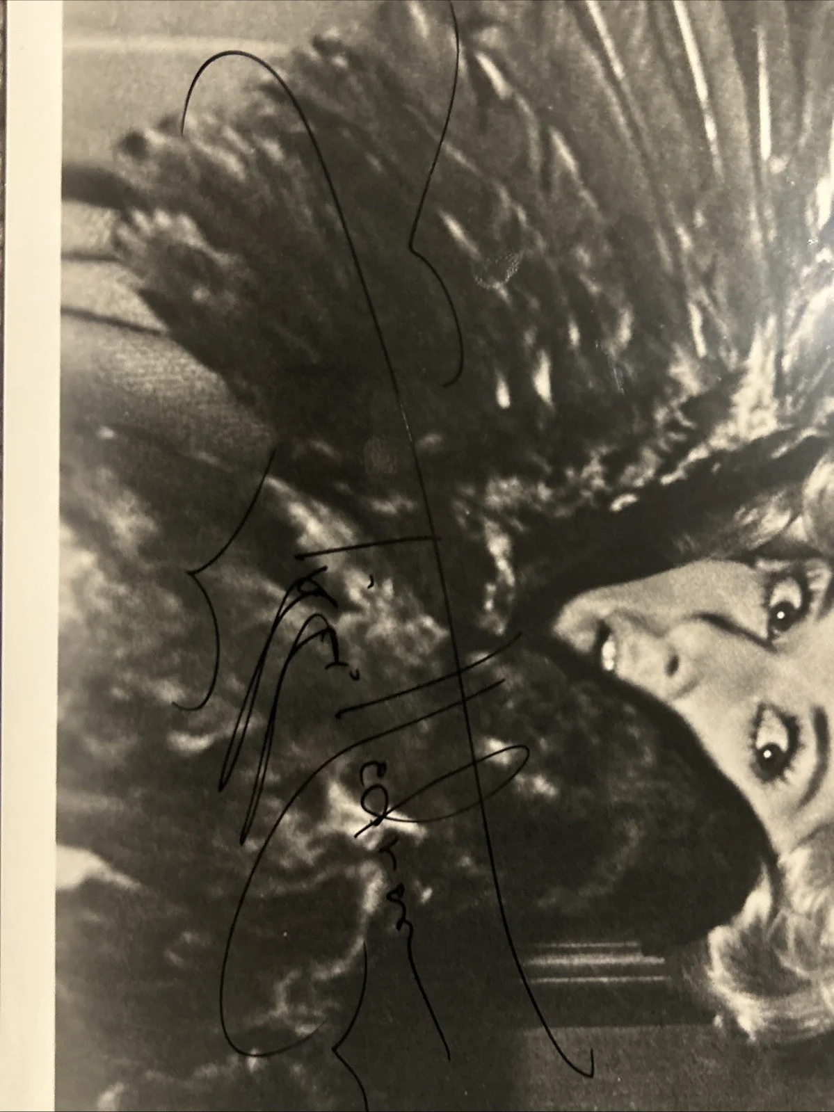 Tippi Hedren — Tippi Hedren Autographed/Signed 8x10 Photo The Birds, изображение 2
