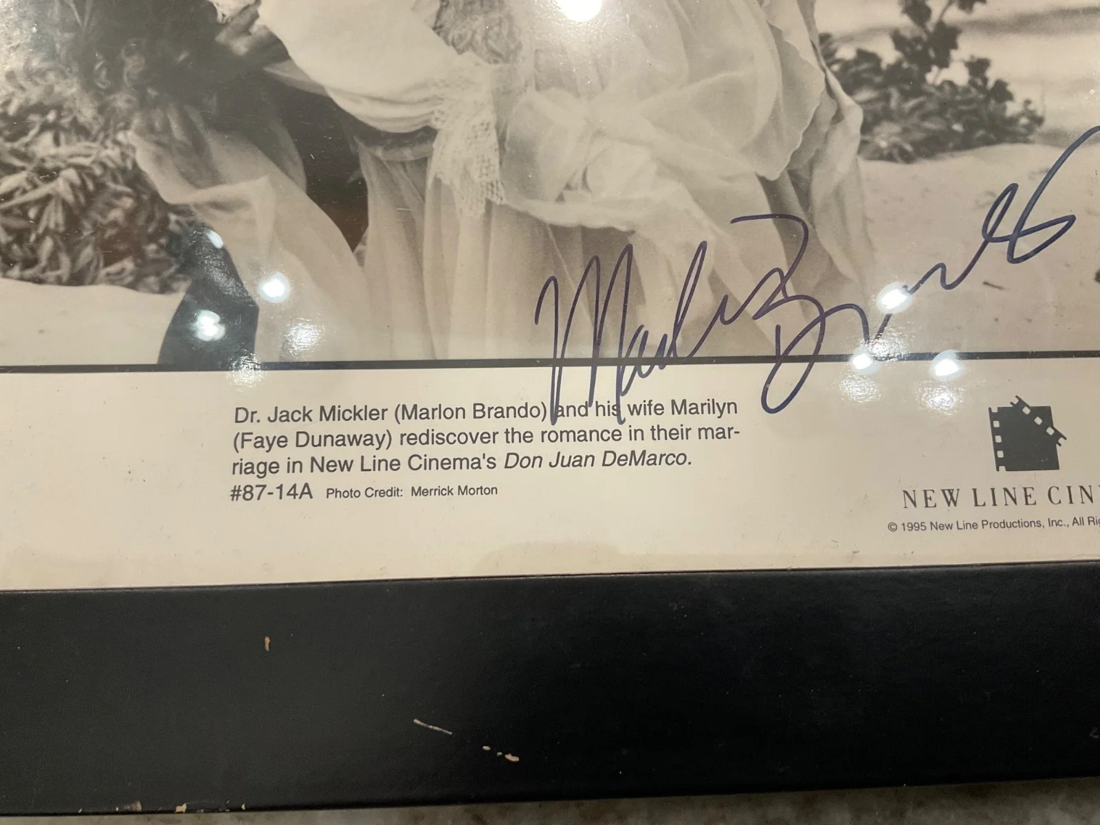 Marlon Brando — MARLON BRANDO FAYE DUNAWAY AUTOGRAPHED DON JUAN DeMARCO MOVI E STILL 8x10 framed, изображение 4