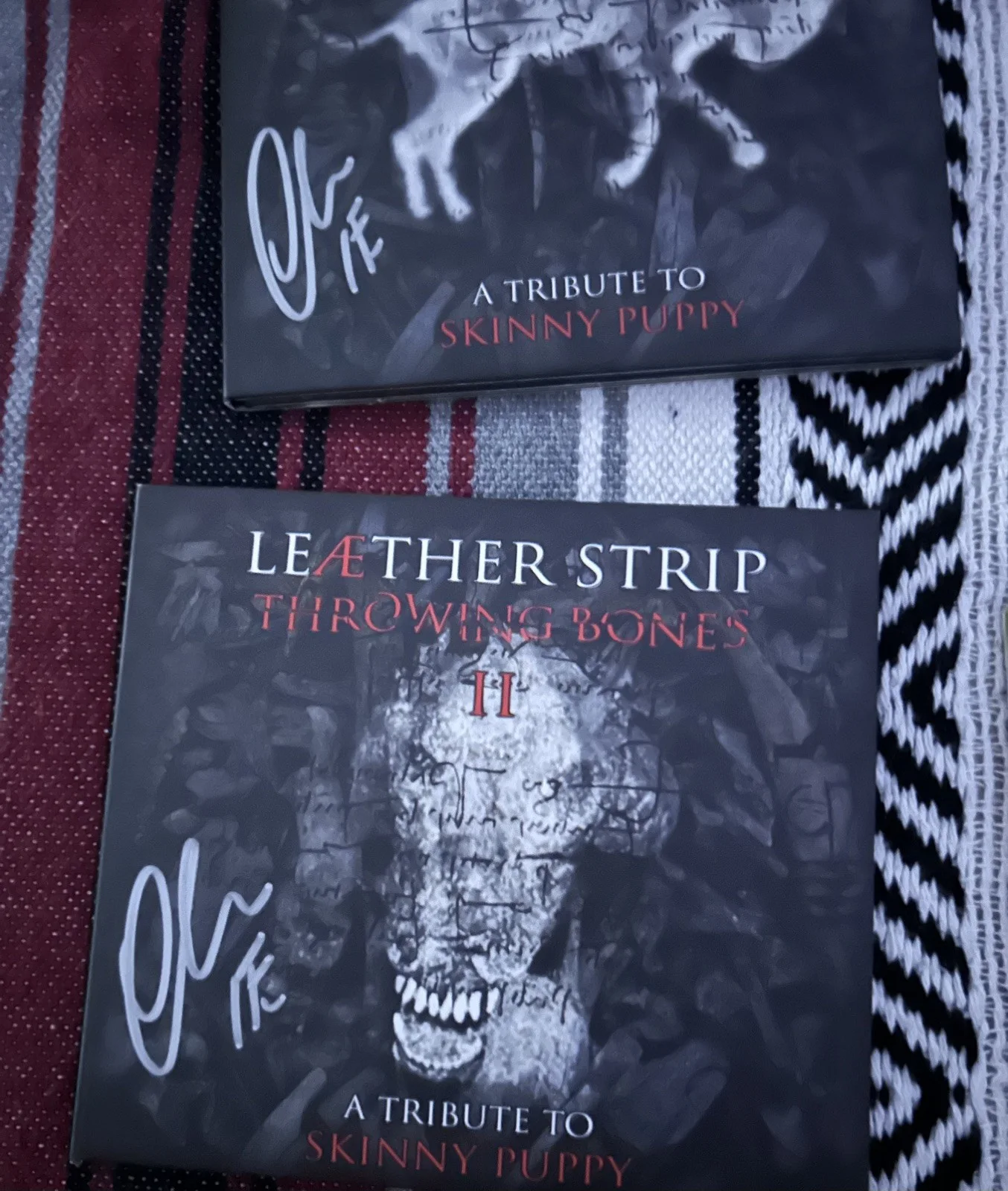 1 DAY SALE SKINNY PUPPY Related SIGNED Vinyl Bundle ohGr Tear Garden Leaether, изображение 2