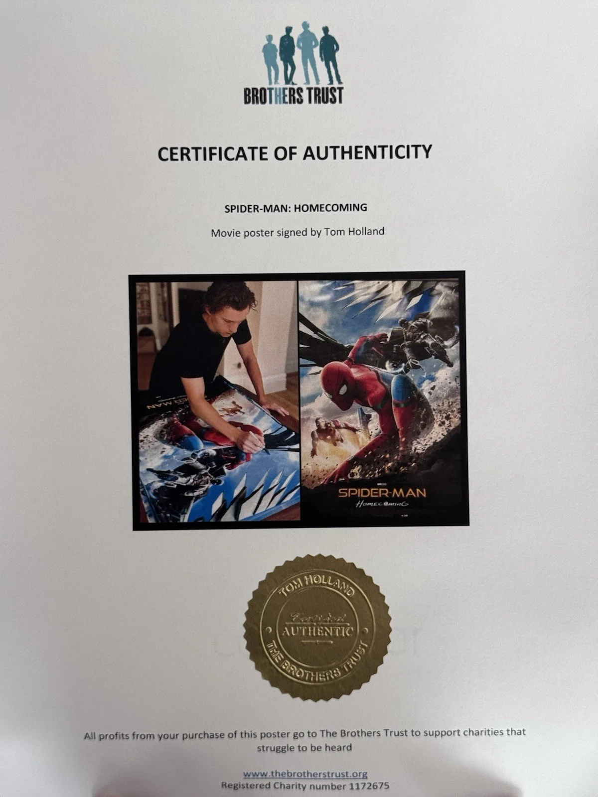 Tom Holland — Tom Holland Signed Autographed Spider-Man Homecoming Full 27x40 Poster PSA/DNA, image 5