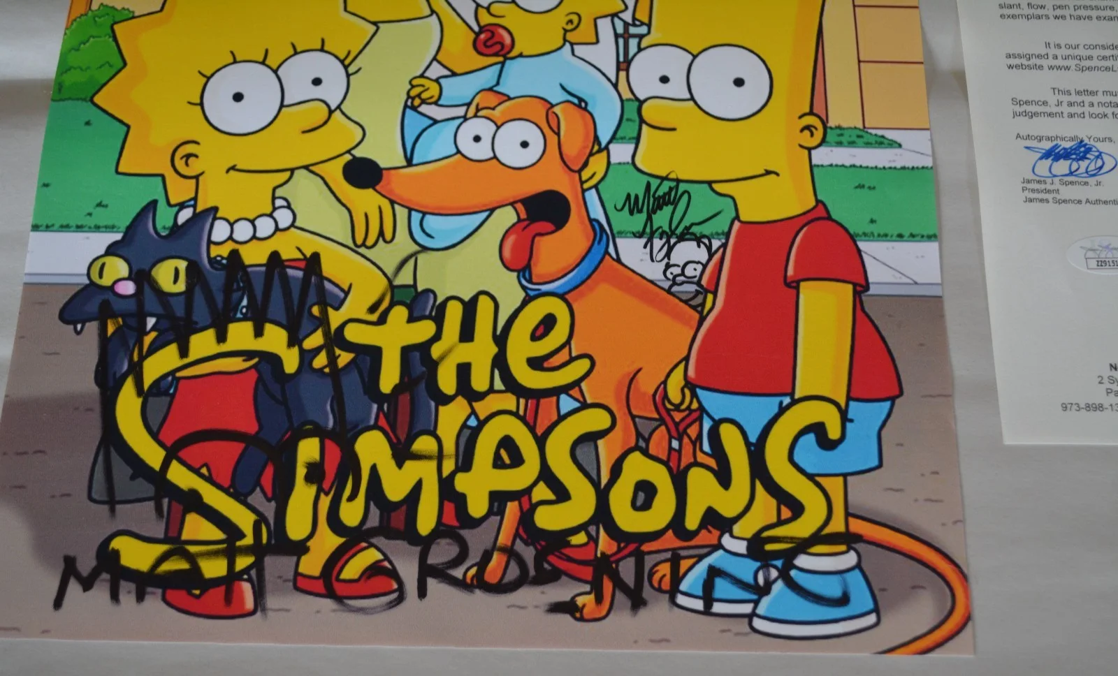 Matt Groening Simpsons Autographed 11x16 3/4 Vinyl Poster JSA Authentication, изображение 2