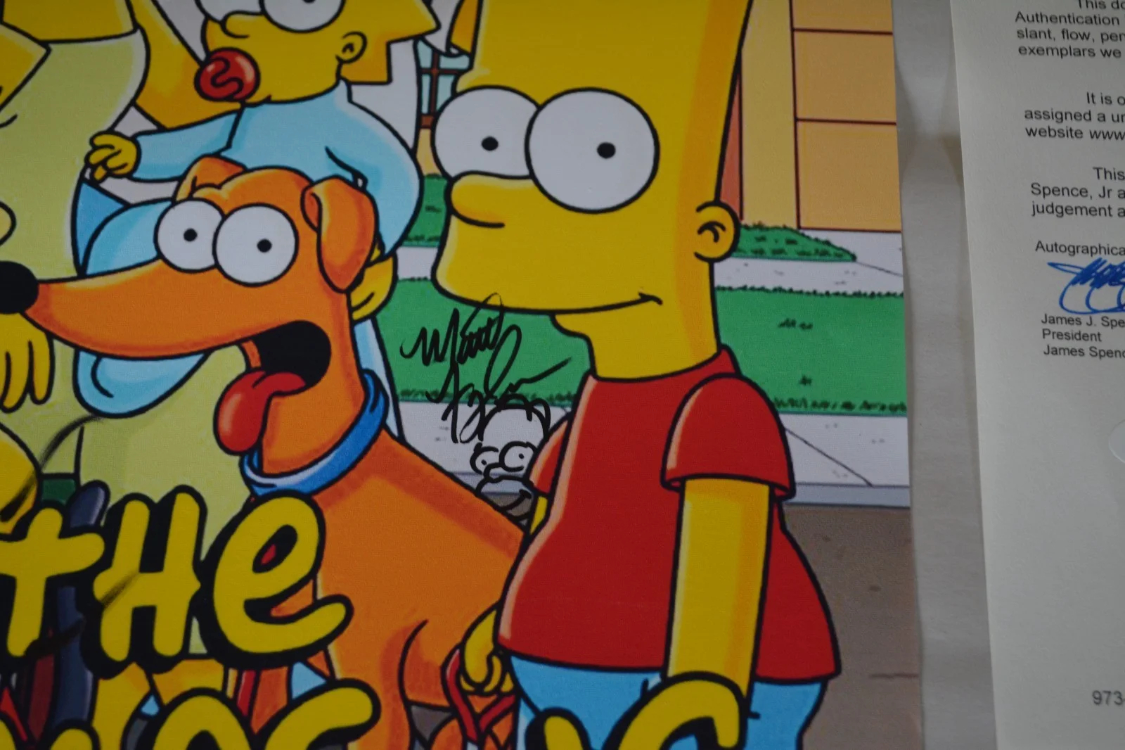 Matt Groening Simpsons Autographed 11x16 3/4 Vinyl Poster JSA Authentication, изображение 4