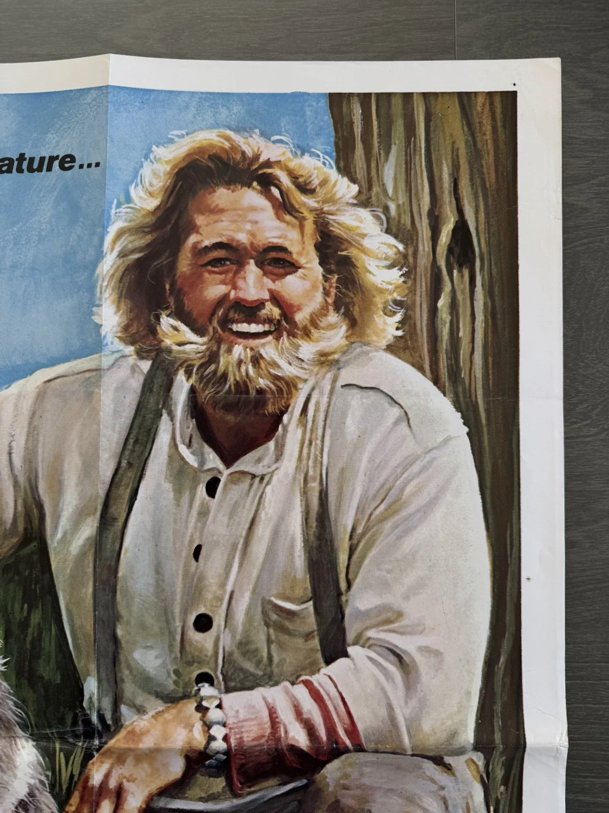 Spirit of the Wild 1974 - Original UK Quad Poster - Folded, изображение 3
