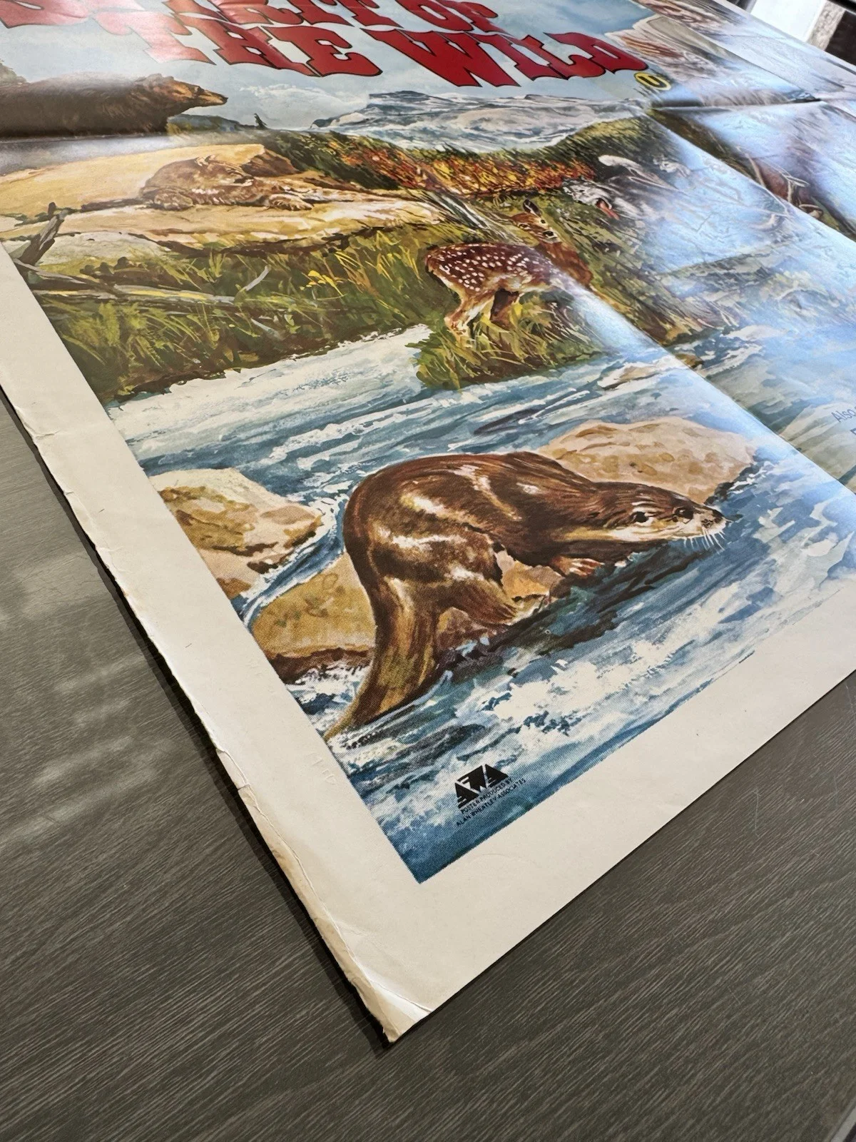 Spirit of the Wild 1974 - Original UK Quad Poster - Folded, изображение 4