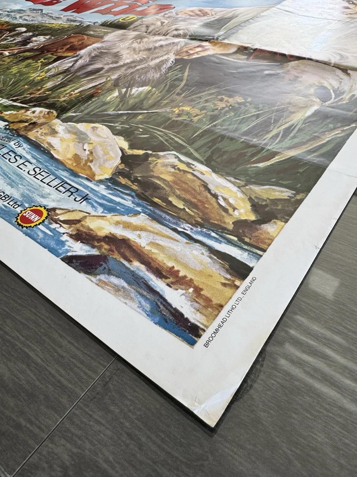 Spirit of the Wild 1974 - Original UK Quad Poster - Folded, изображение 5