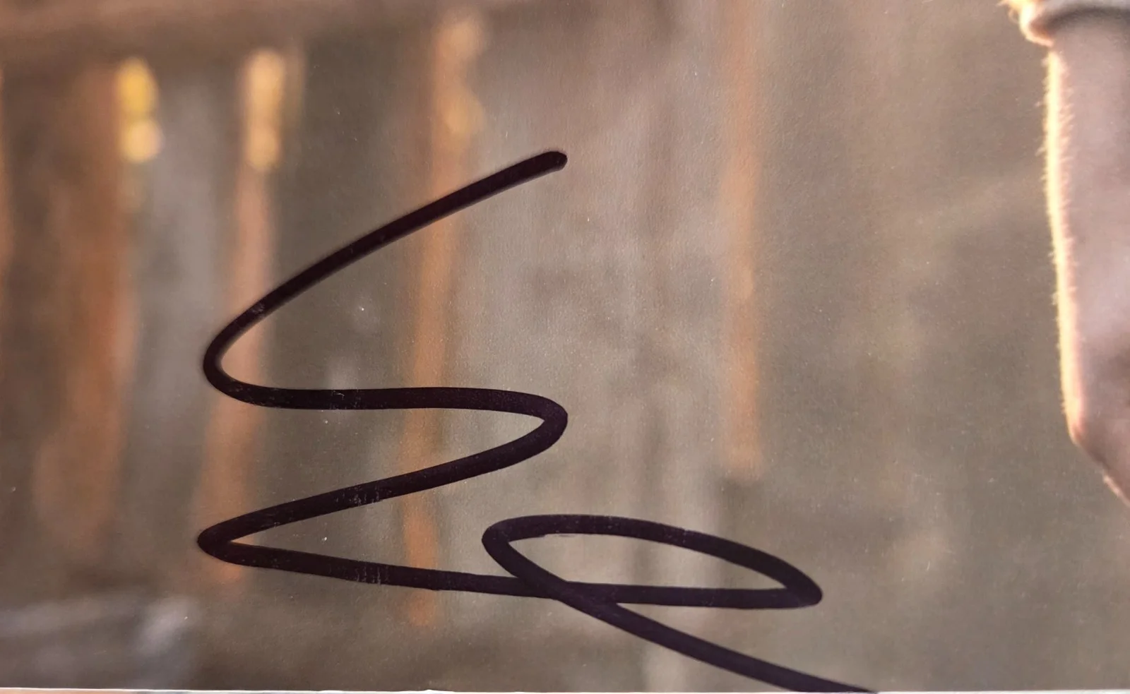 Christian Convery Hand Signed Autograph 8x10 Photo In Person Proof Sweet Tooth, изображение 2