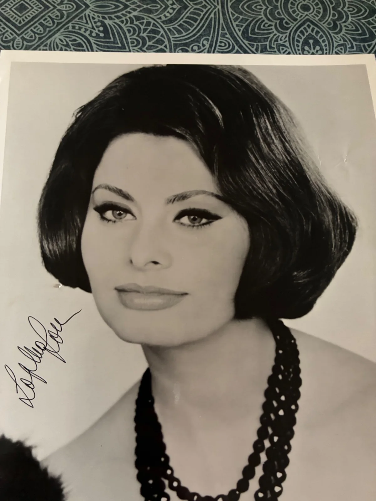 Sophia Loren — SOPHIA LOREN Signed 8x10 Portrait - Hand Signed Hollywood Legend Autograph, image 2