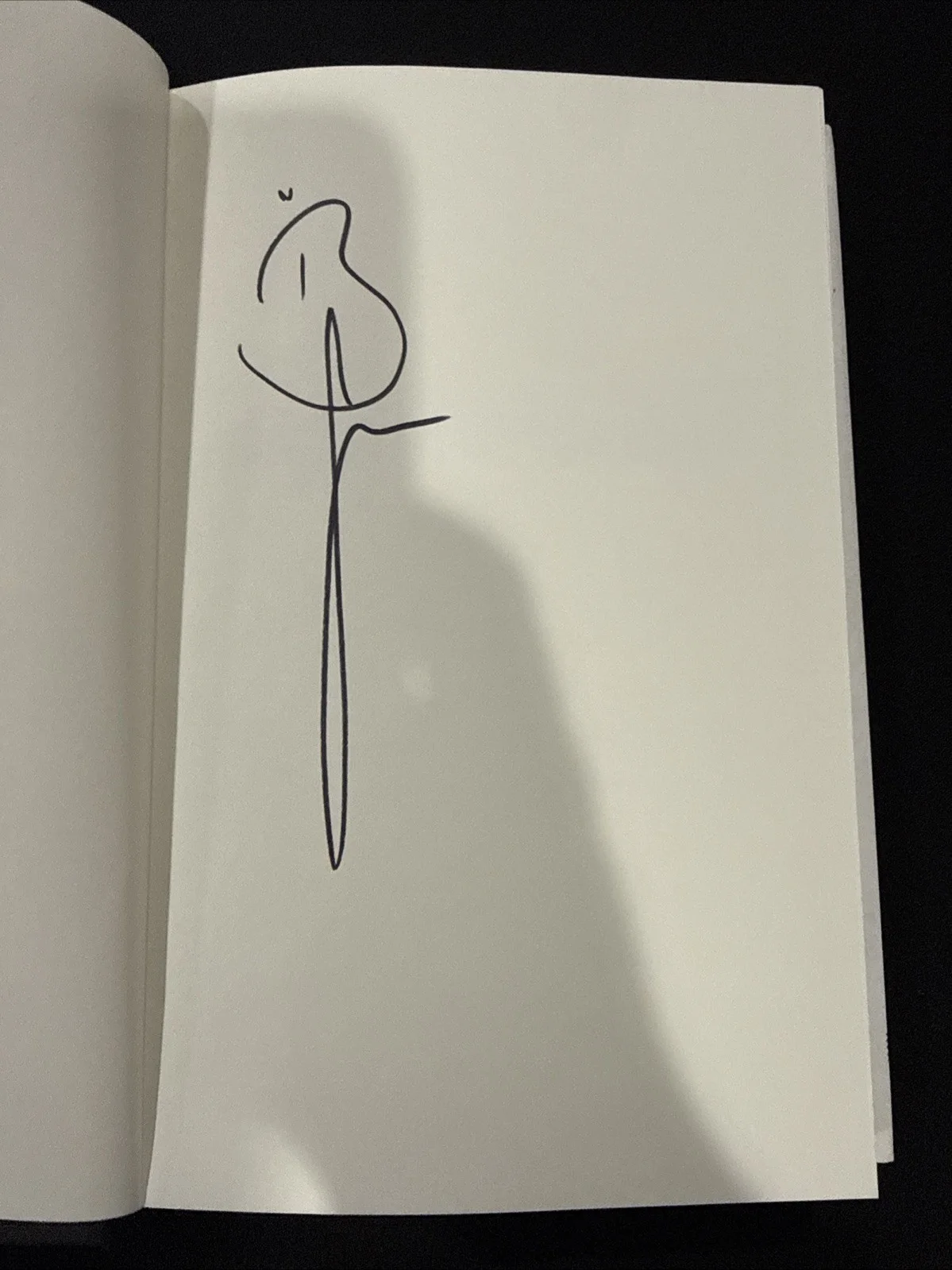 BRANDI CARLILE Signed “Broken Horses” Memoir Book Autograph Auto Musician Singer, изображение 2