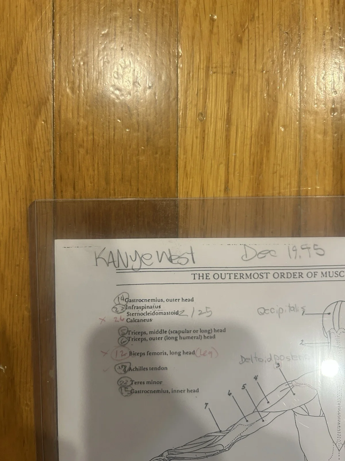 Kanye West Anatomy Homework Signed Auto JSA Authenticate 1st🎵Interview Ever?, image 2