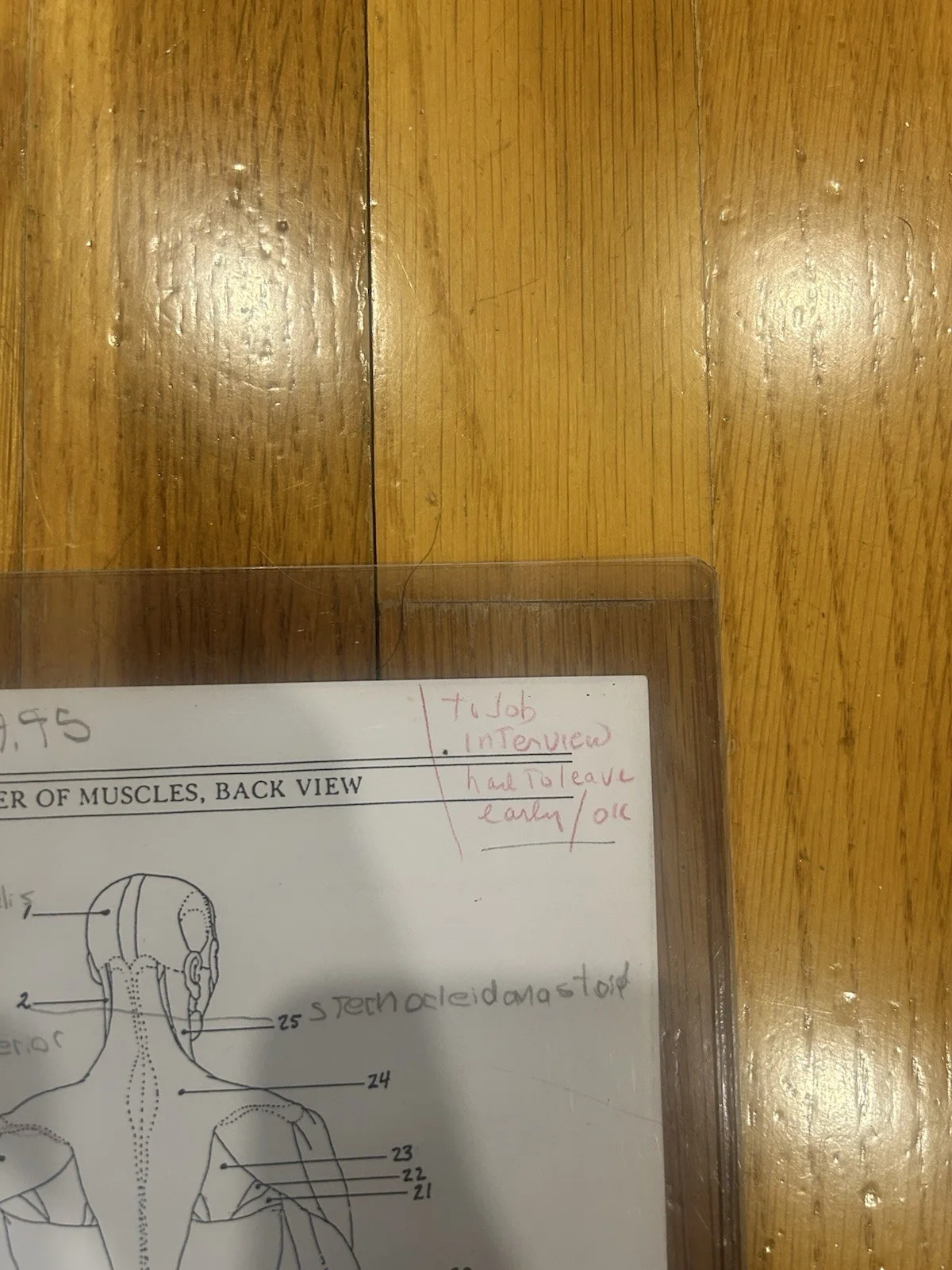Kanye West Anatomy Homework Signed Auto JSA Authenticate 1st🎵Interview Ever?, image 3