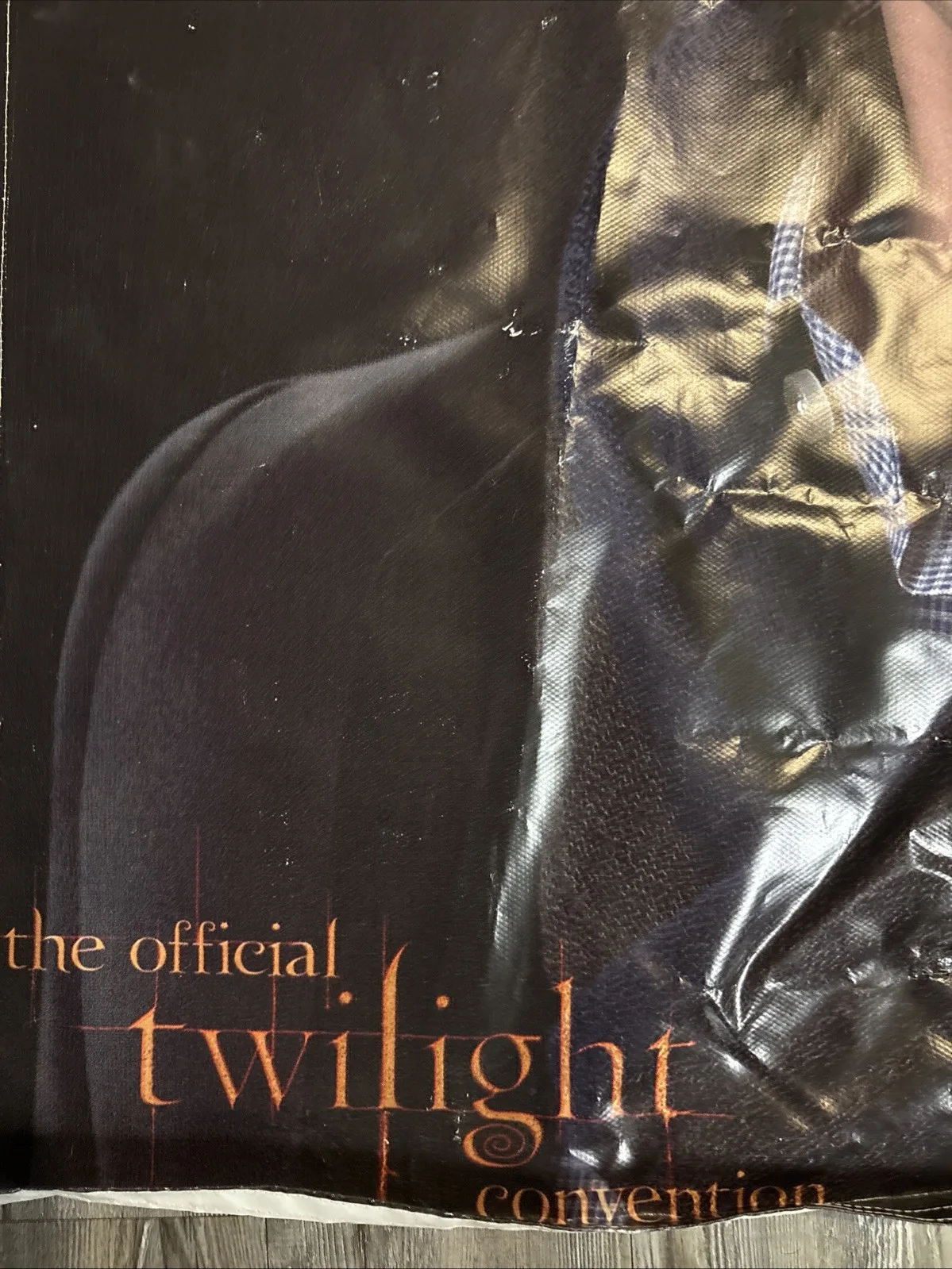 Signed Peter Facinelli Banner From Twilight Convention 59”x48”, изображение 2