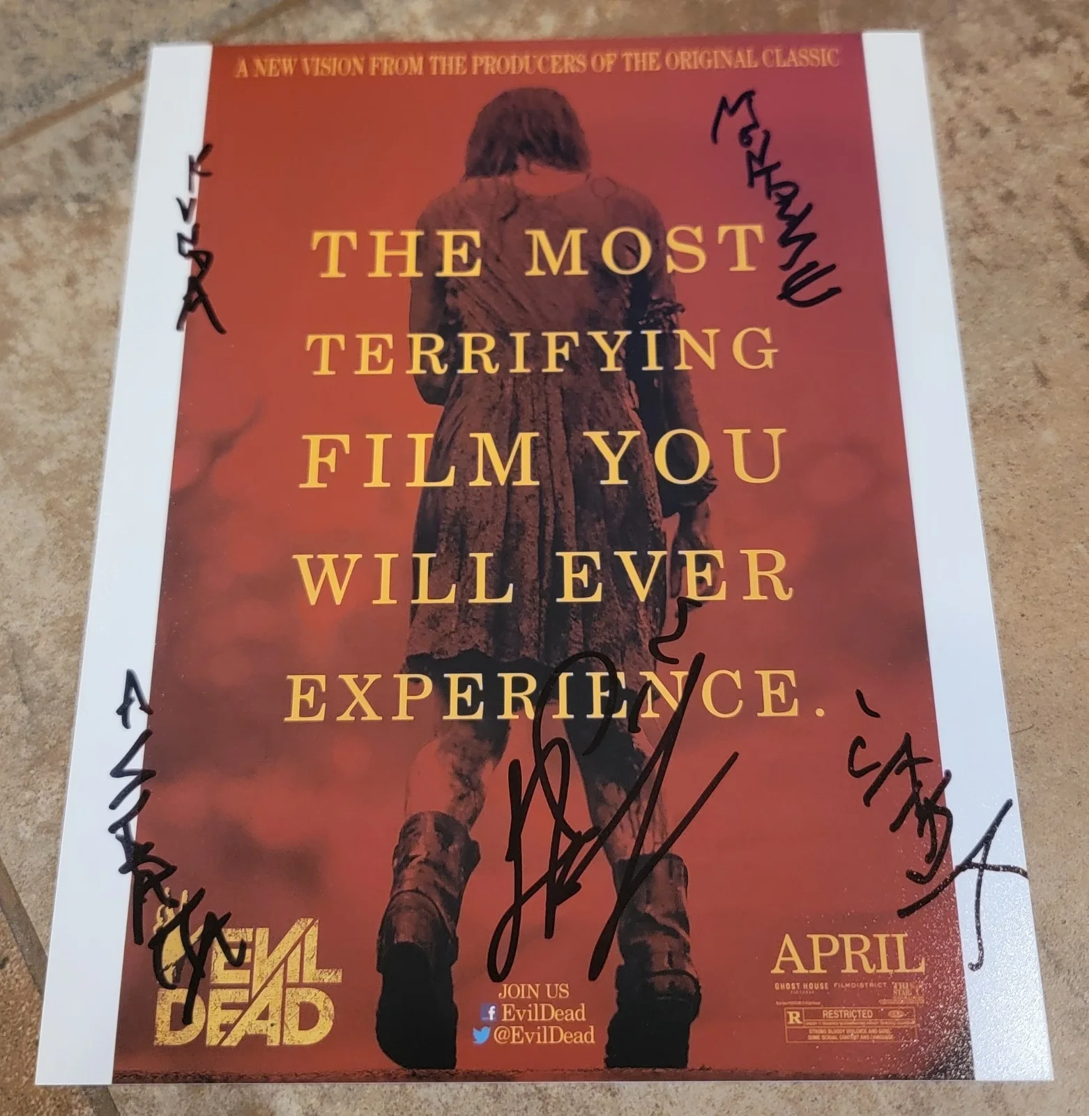 Lou Taylor Pucci — Lou Taylor Pucci signed 8x10 photo autograph PSA DNA Evil Dead poster