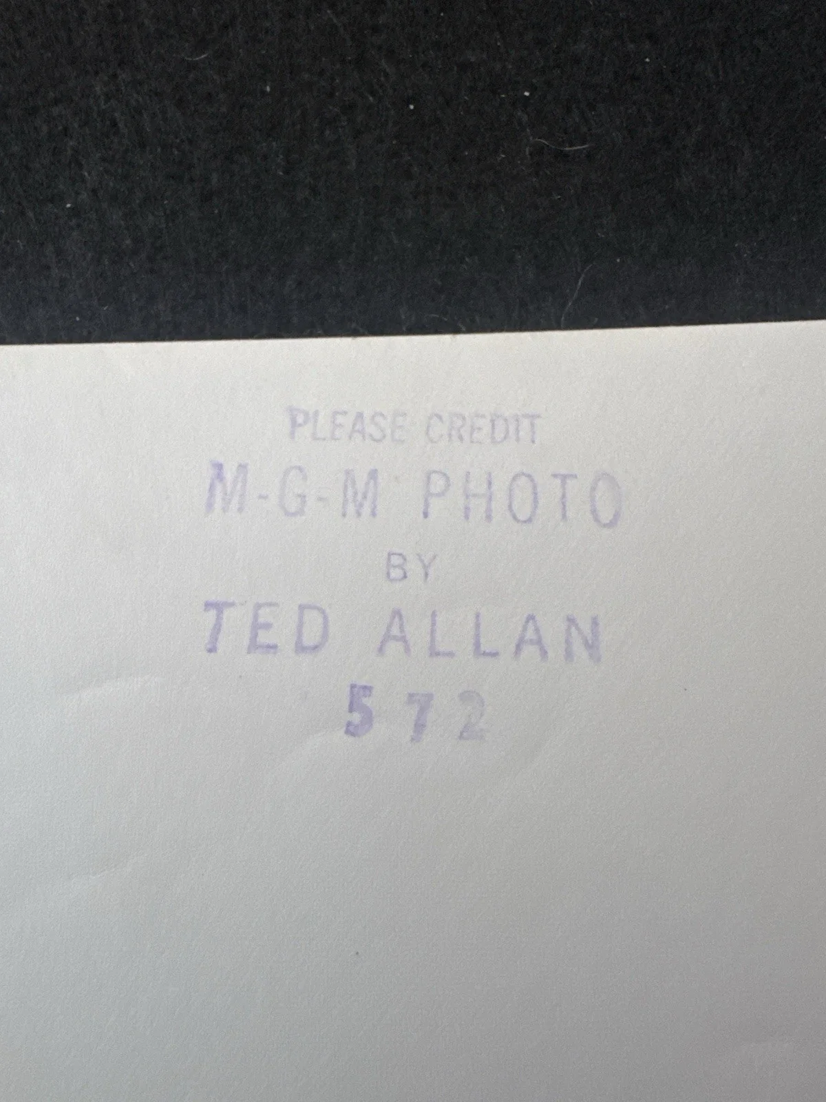 Vintage Montgomery MGM Studio Publicity Photo – Ted Allan Photographer, image 3