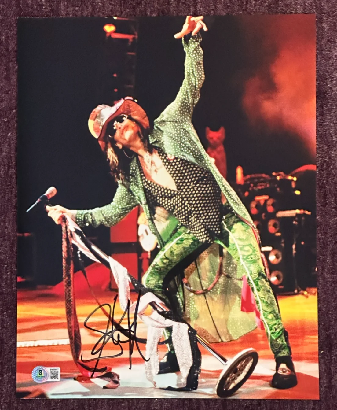 STEVEN TYLER — STEVEN TYLER Signed AEROSMITH in CONCERT 11x14 PHOTO Beckett (BAS) Authenticated