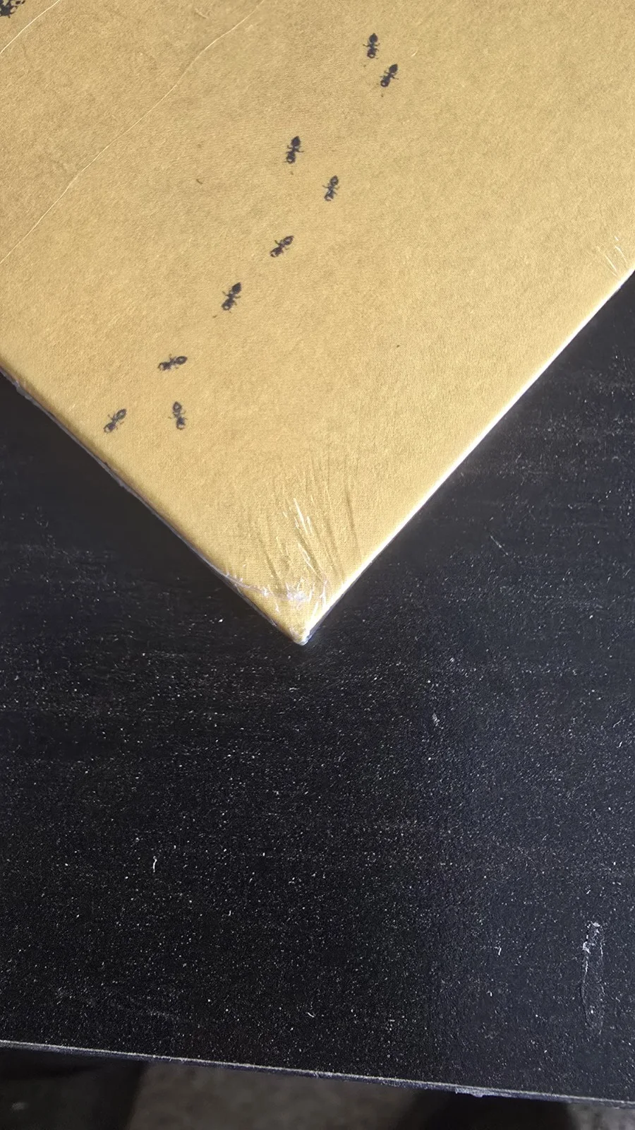 Noah Kahan, The Great Divide, Signed CD, Sold Out, image 4