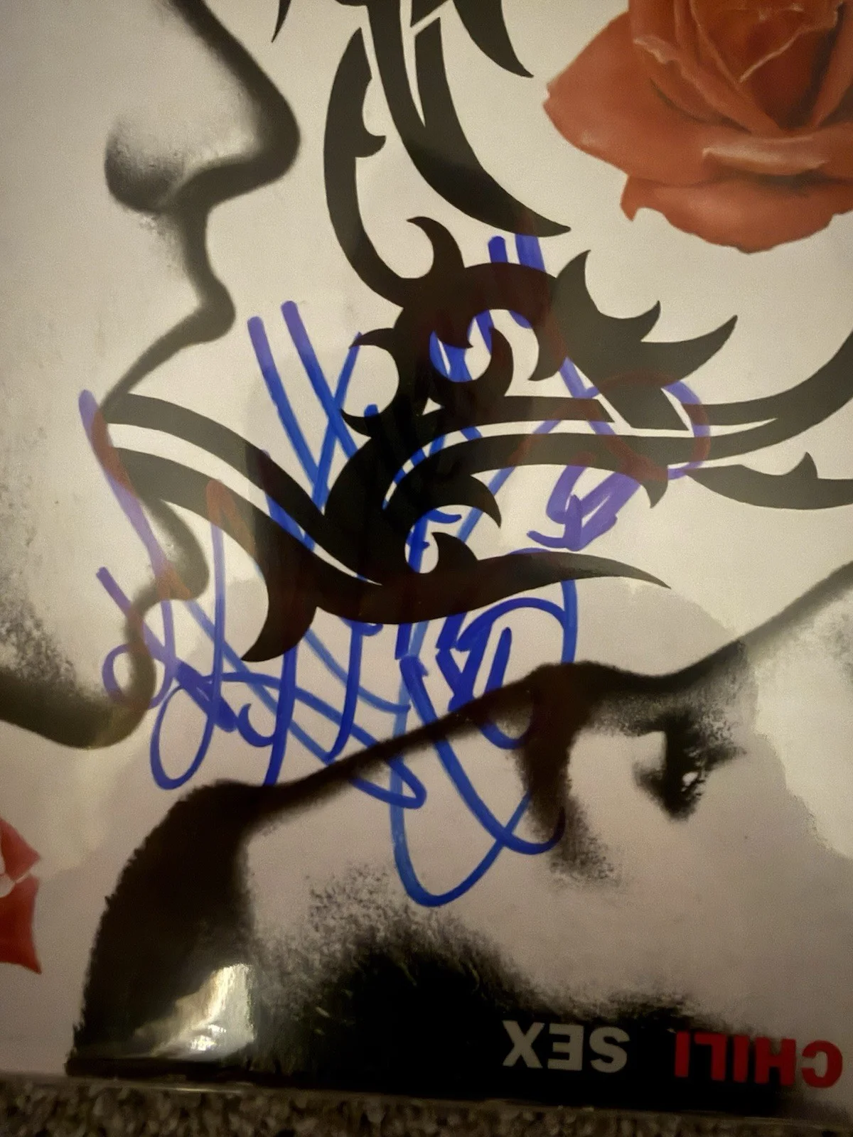 RED HOT CHILI PEPPERS SIGNED BLOOD SUGAR SEX MAGIK VINYL W/JSA COA, изображение 2