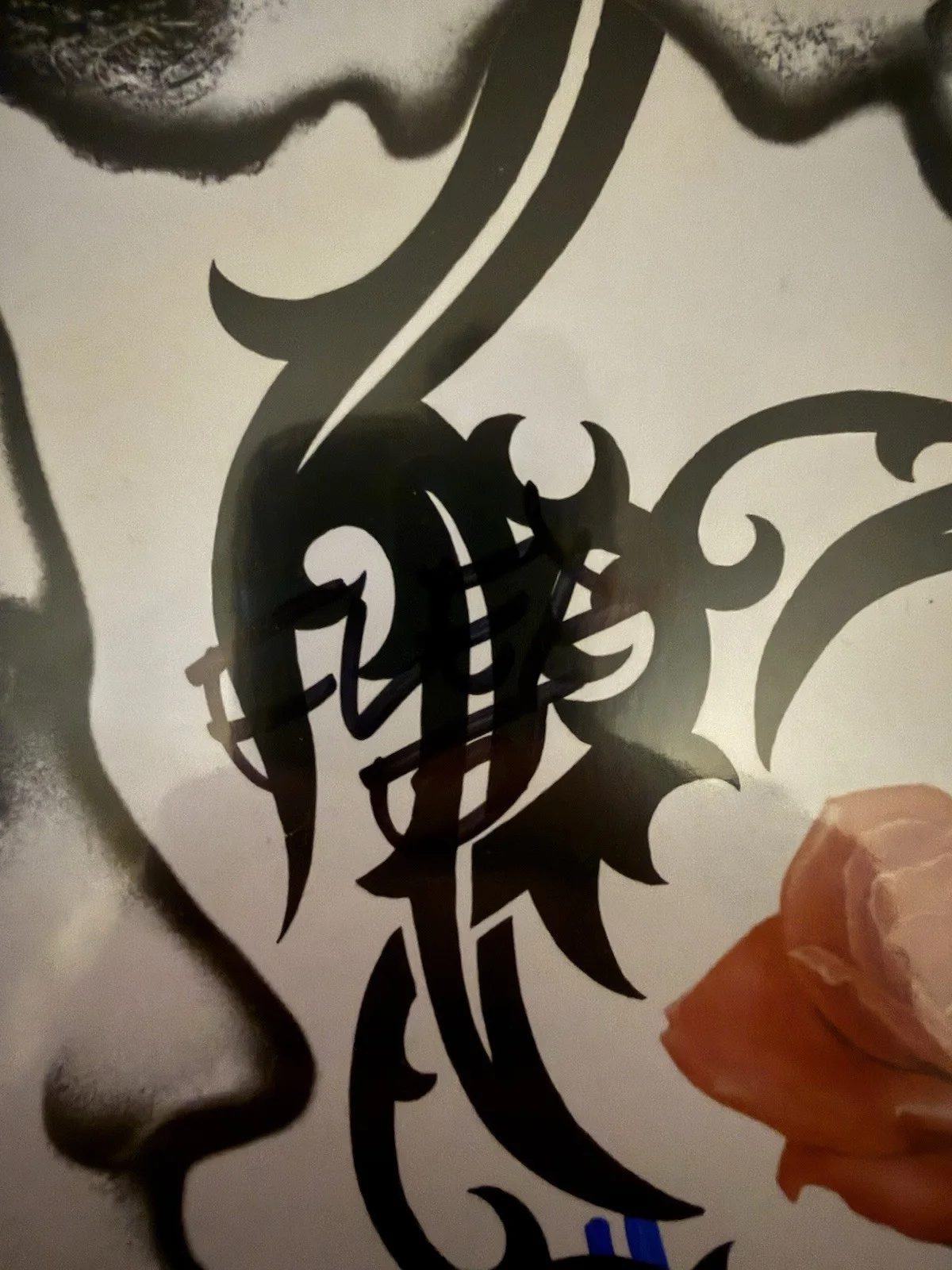 RED HOT CHILI PEPPERS SIGNED BLOOD SUGAR SEX MAGIK VINYL W/JSA COA, изображение 4