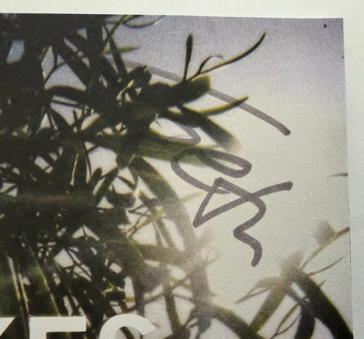 Lakes Photographs EP 2006 & Fire Ahead 2014 Signed Autographed CD Lot Watashi Wa, изображение 4