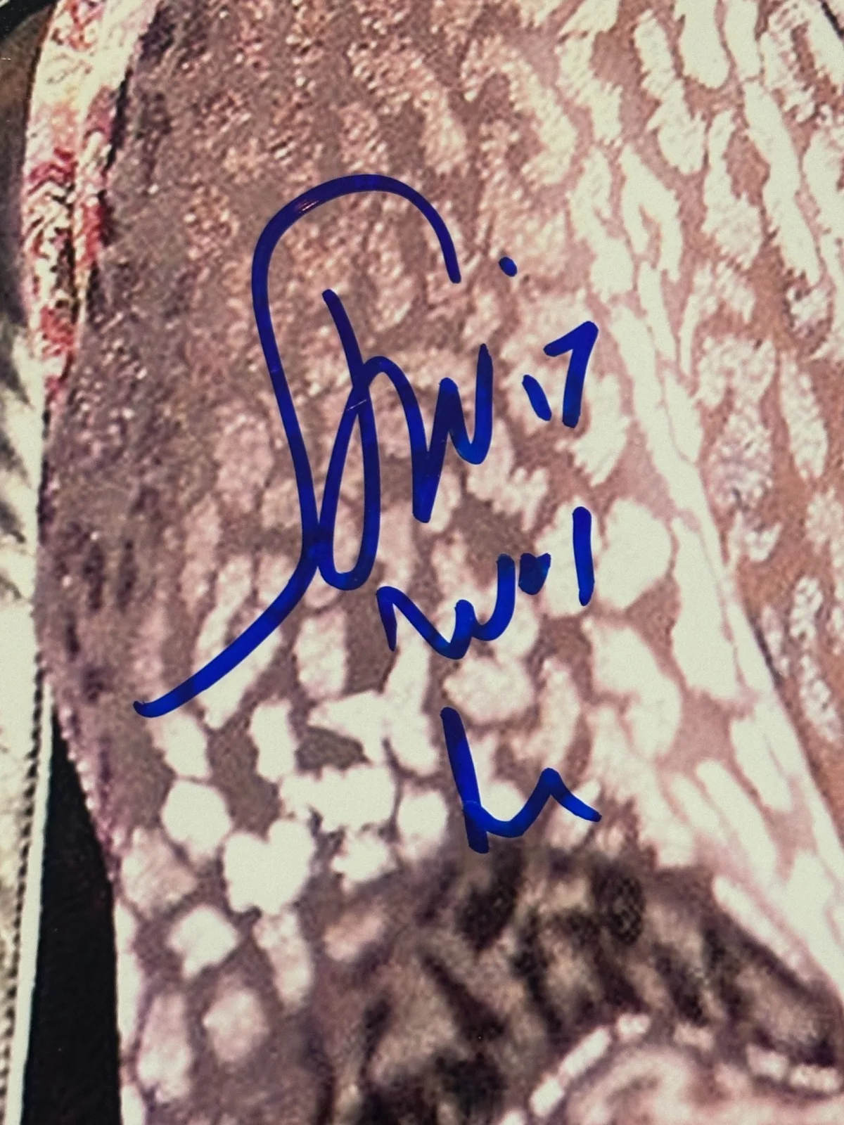 STEVEN VAN ZANDT — STEVEN VAN ZANDT Signed 11x14 PHOTO Beckett (BAS) Auth, изображение 2