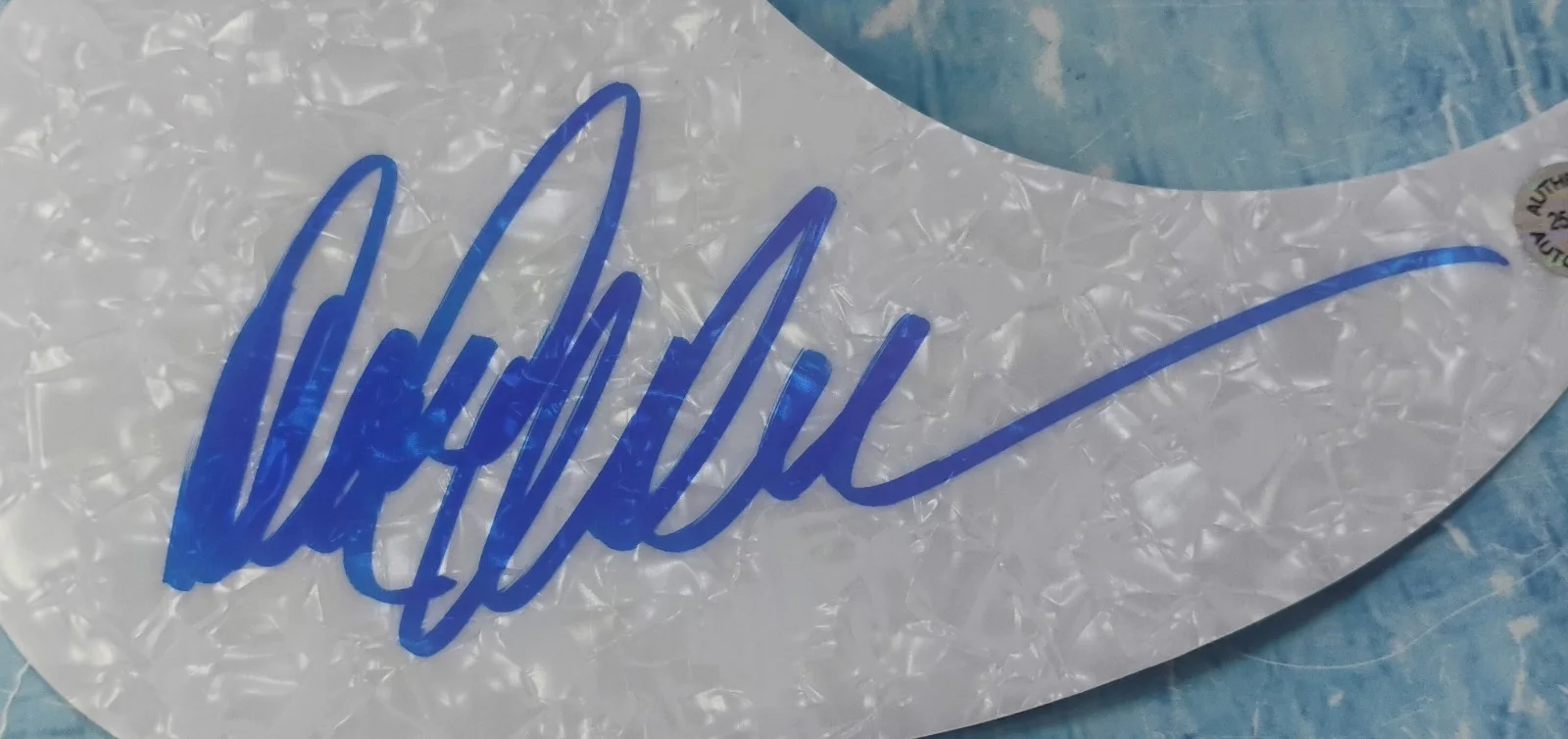David Allan Coe Hand Signed Autograph Guitar Pick Guard COA - NO US TARIFFS, image 3