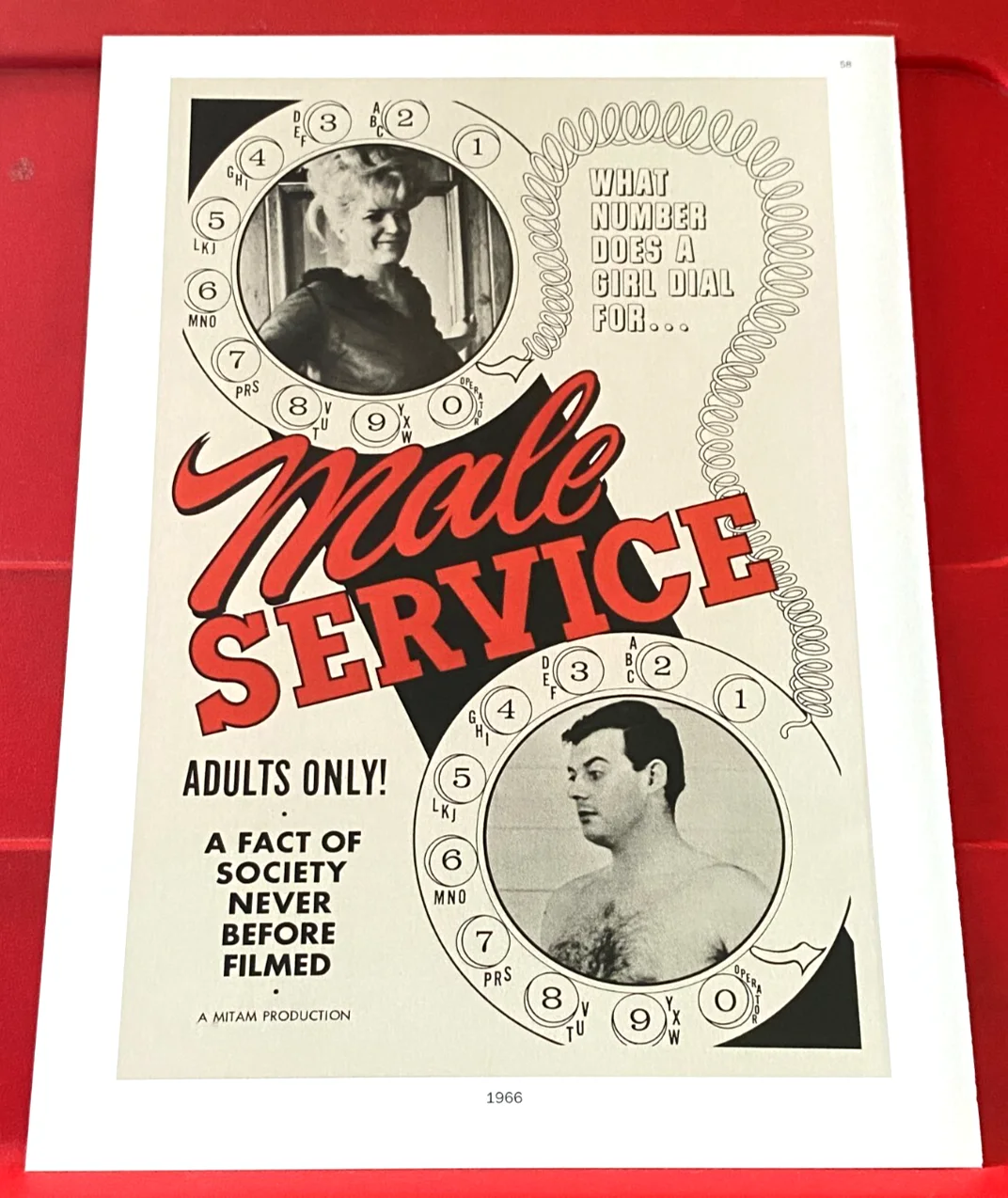Rent-A-Girl/Male Service Movie/Film Poster Art PICTURE/PRINT 9"x 6.5"Small, изображение 2