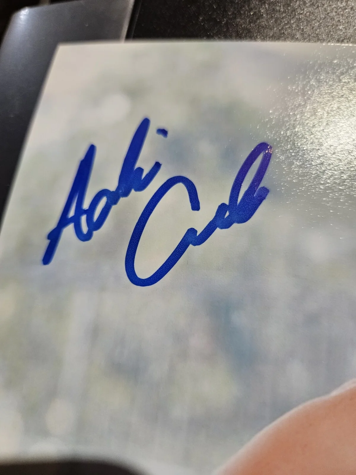 Adriana Chechik — Adriana Chechik Signed 8x10 Photo Adult Star Autographed JSA COA, изображение 3