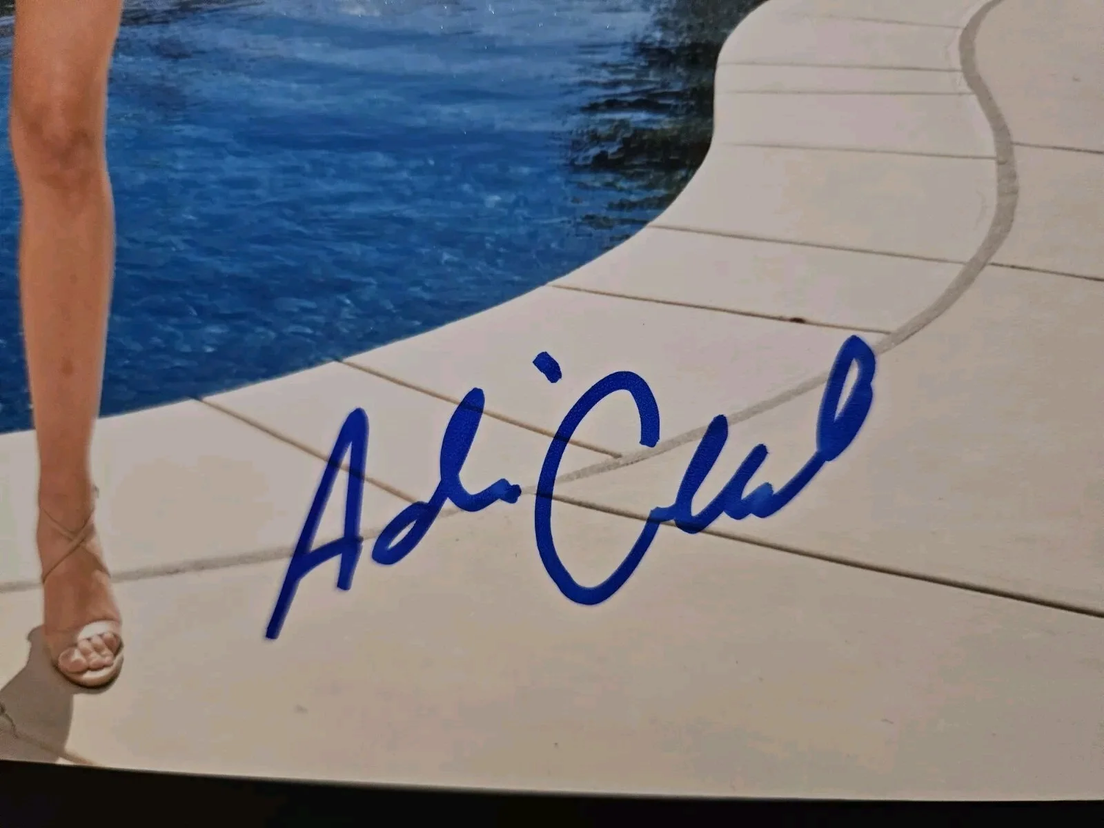 Adriana Chechik — Adriana Chechik Signed 8x10 Photo Adult Star Autographed JSA COA, изображение 3