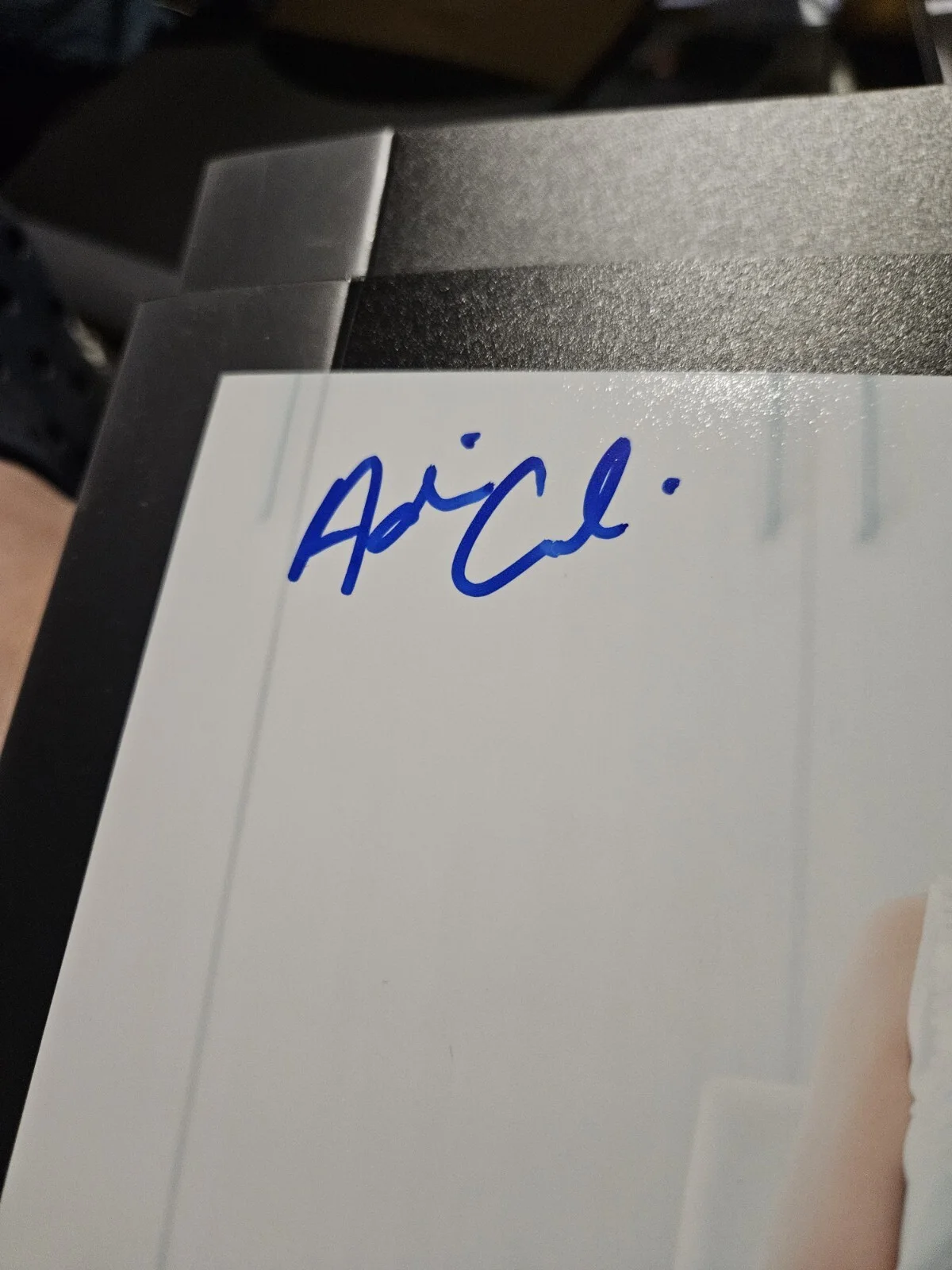Adriana Chechik — Adriana Chechik Signed 8x10 Photo Adult Star Autographed JSA COA, изображение 3