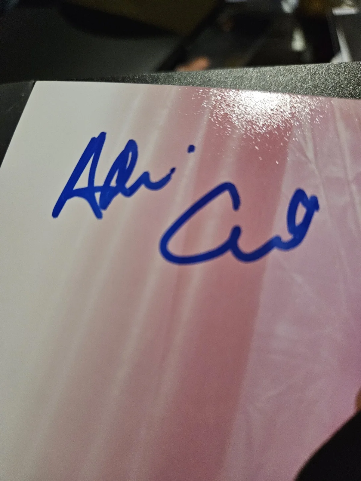 Adriana Chechik — Adriana Chechik Signed 8x10 Photo Adult Star Autographed JSA COA, изображение 3