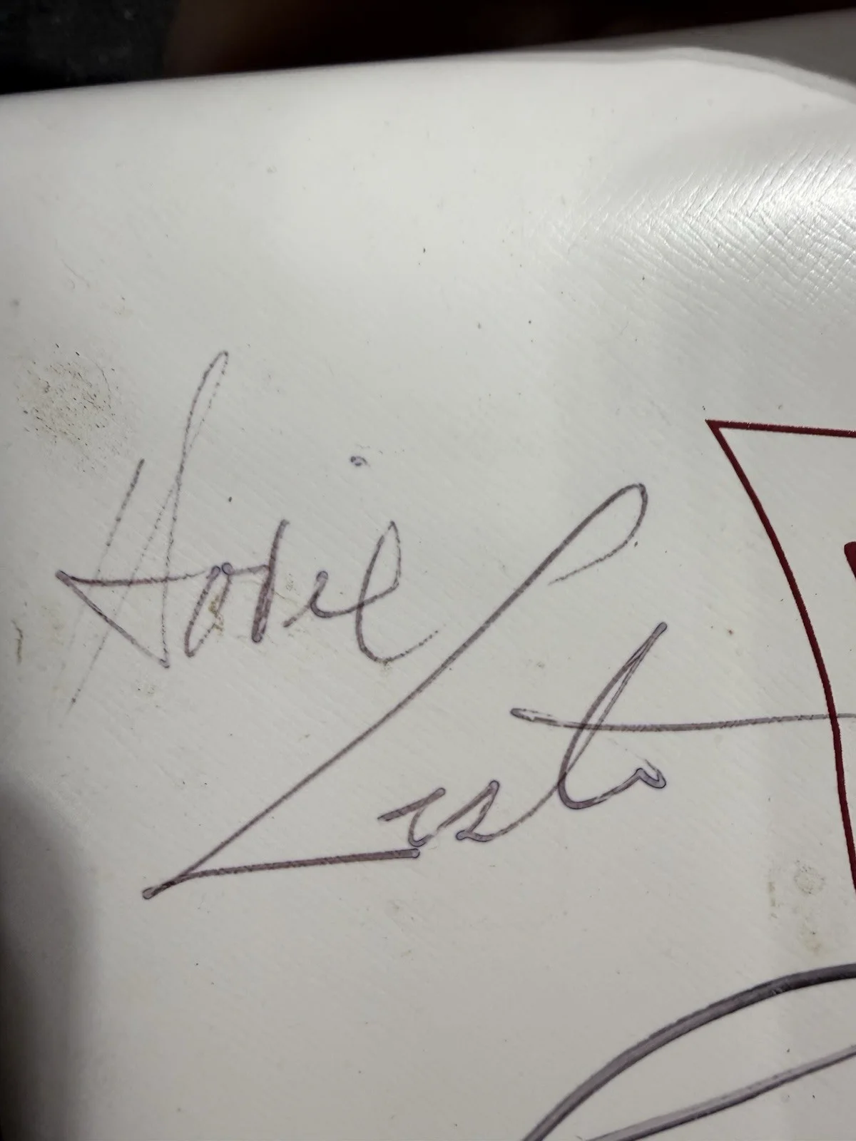 Vintage Autographed Red Rocks Amphitheatre 60th Anniversary Seat Cushion 14x14, изображение 4