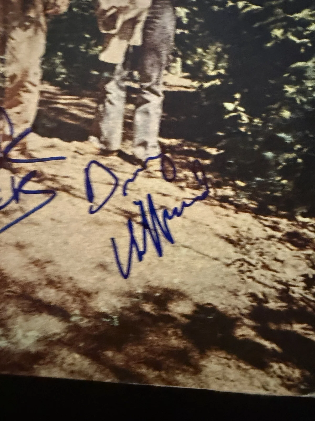 Creedence Clearwater Revival Signed Green River LP Autographed X2, image 3